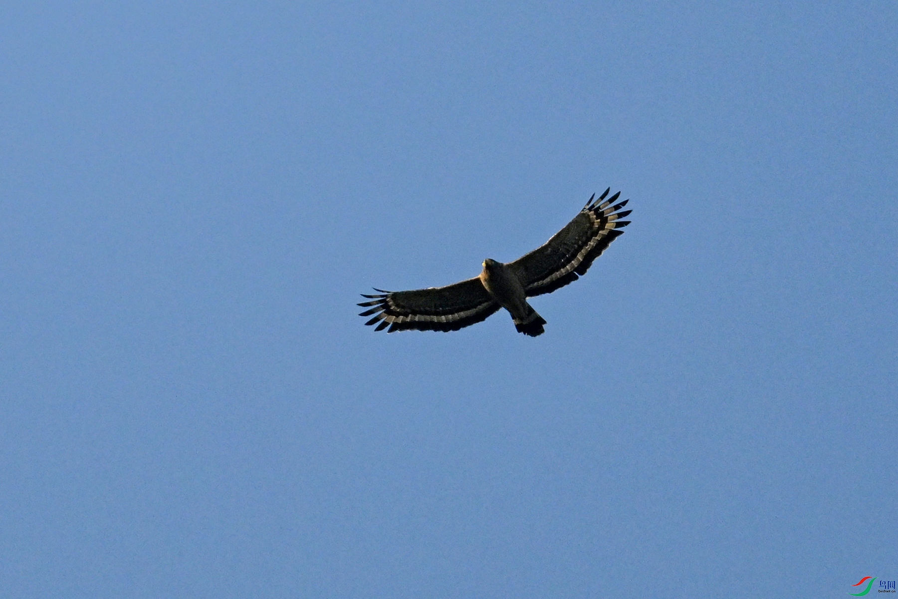 DSC_6248.JPG