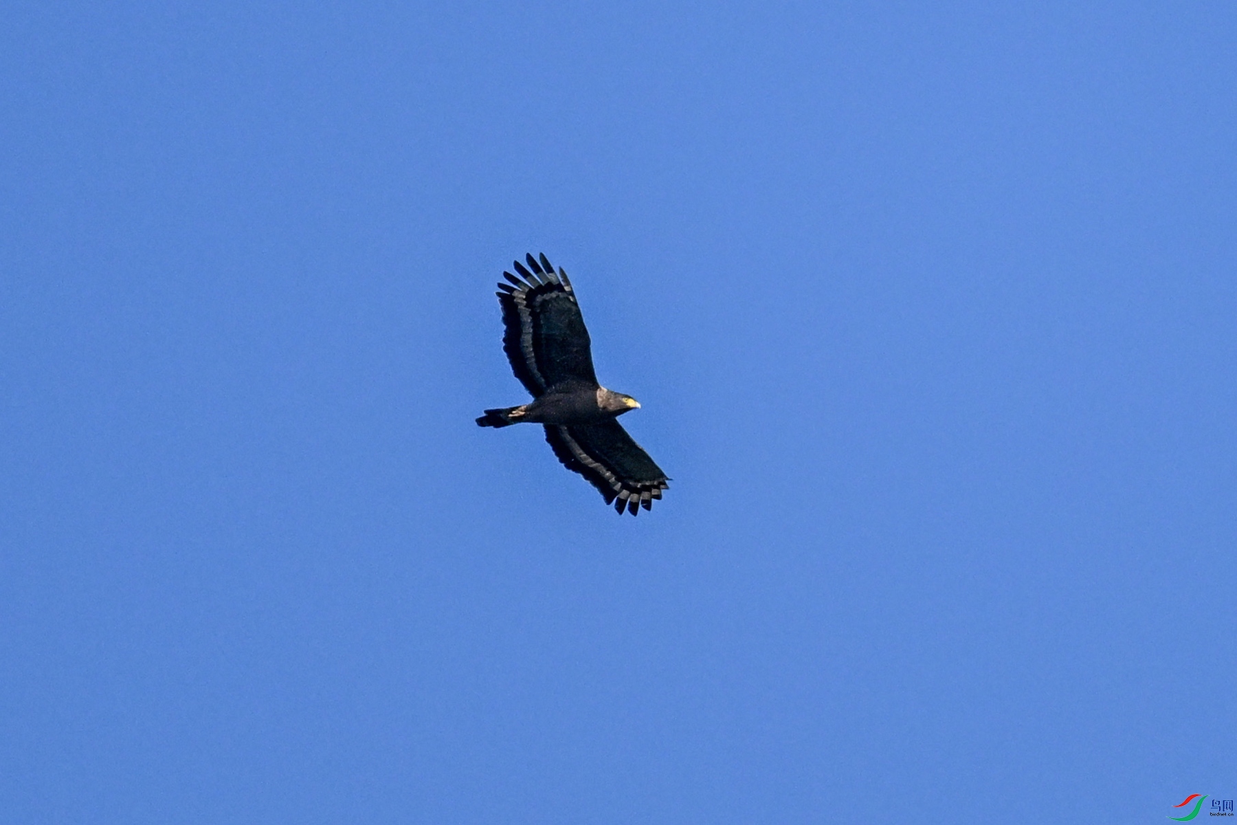 DSC_6267.JPG