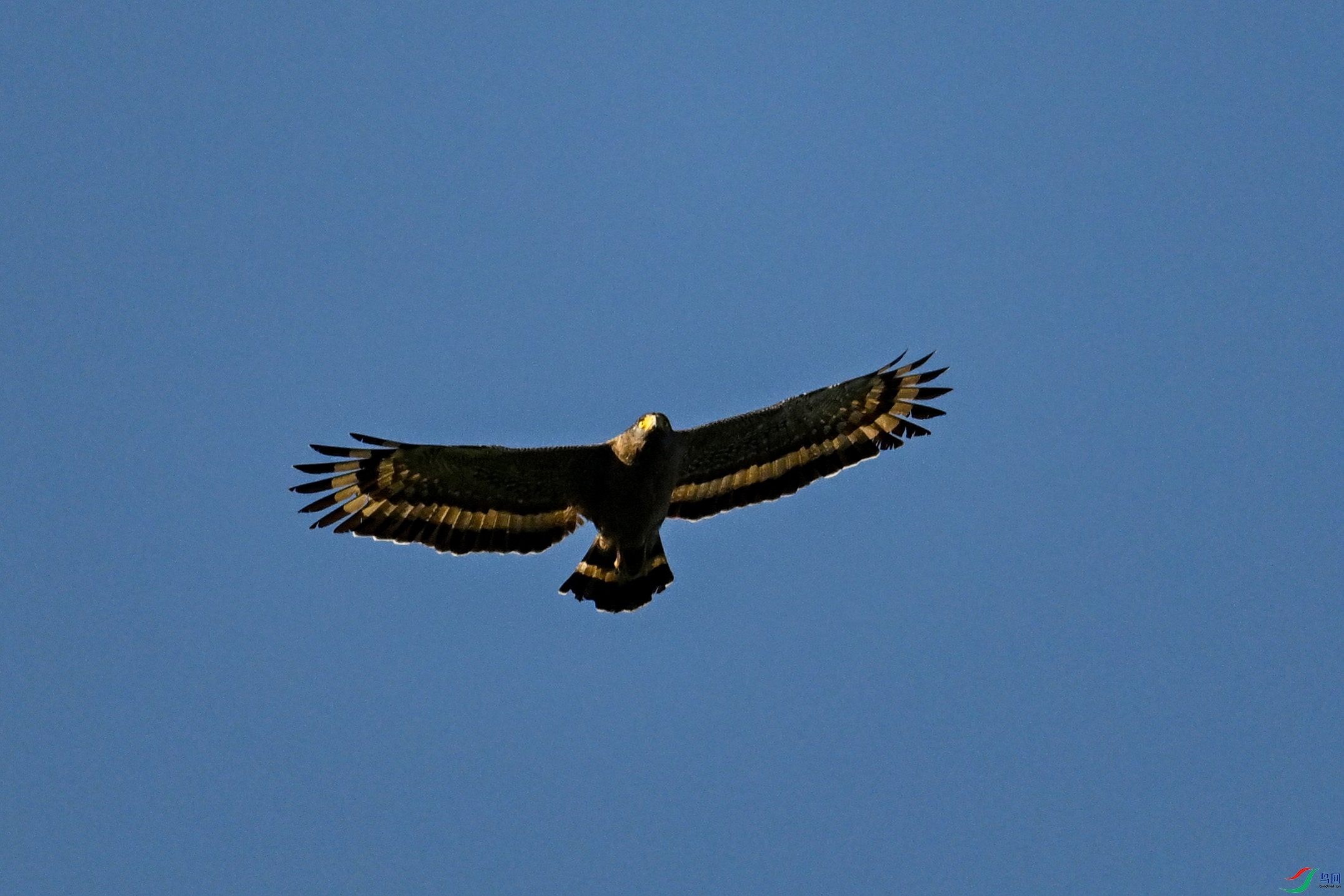 DSC_6287.JPG