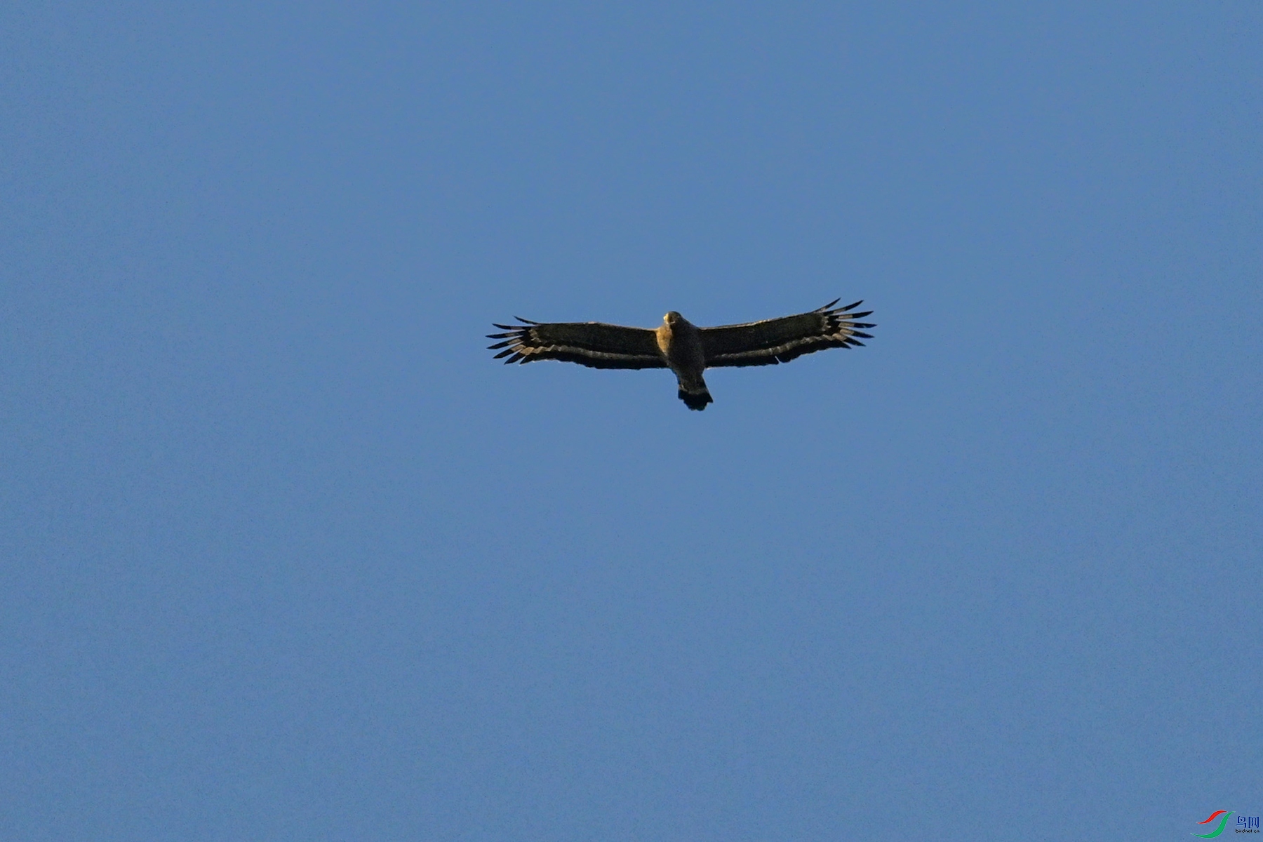 DSC_6234.JPG