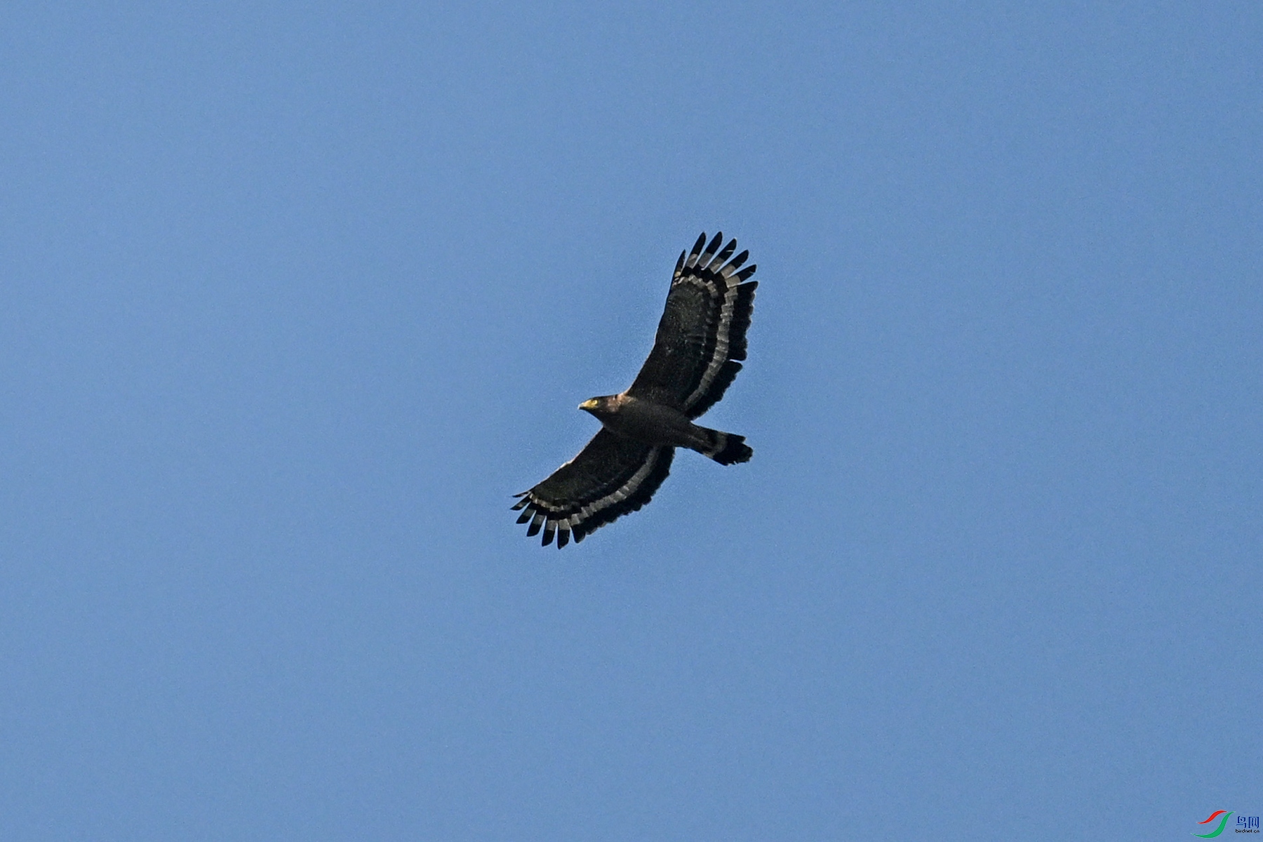 DSC_6250.JPG