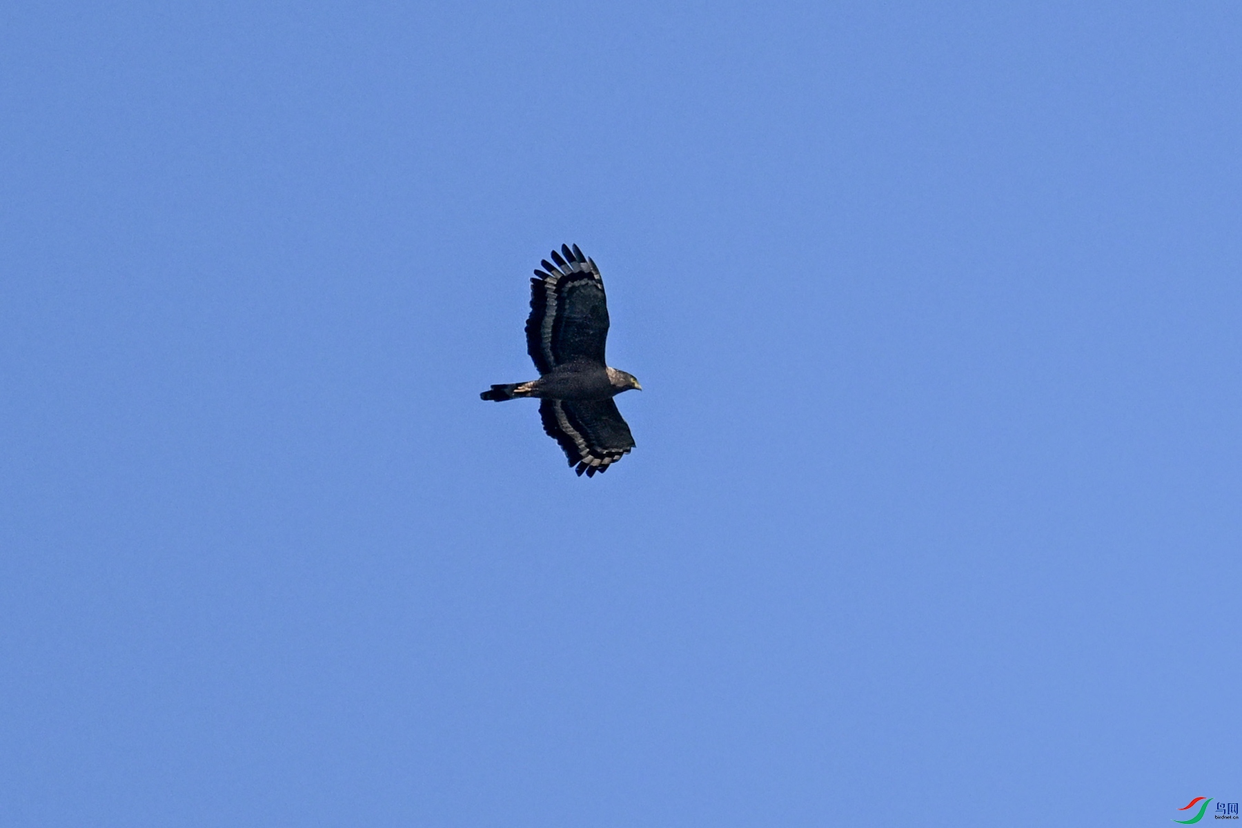 DSC_6271.JPG