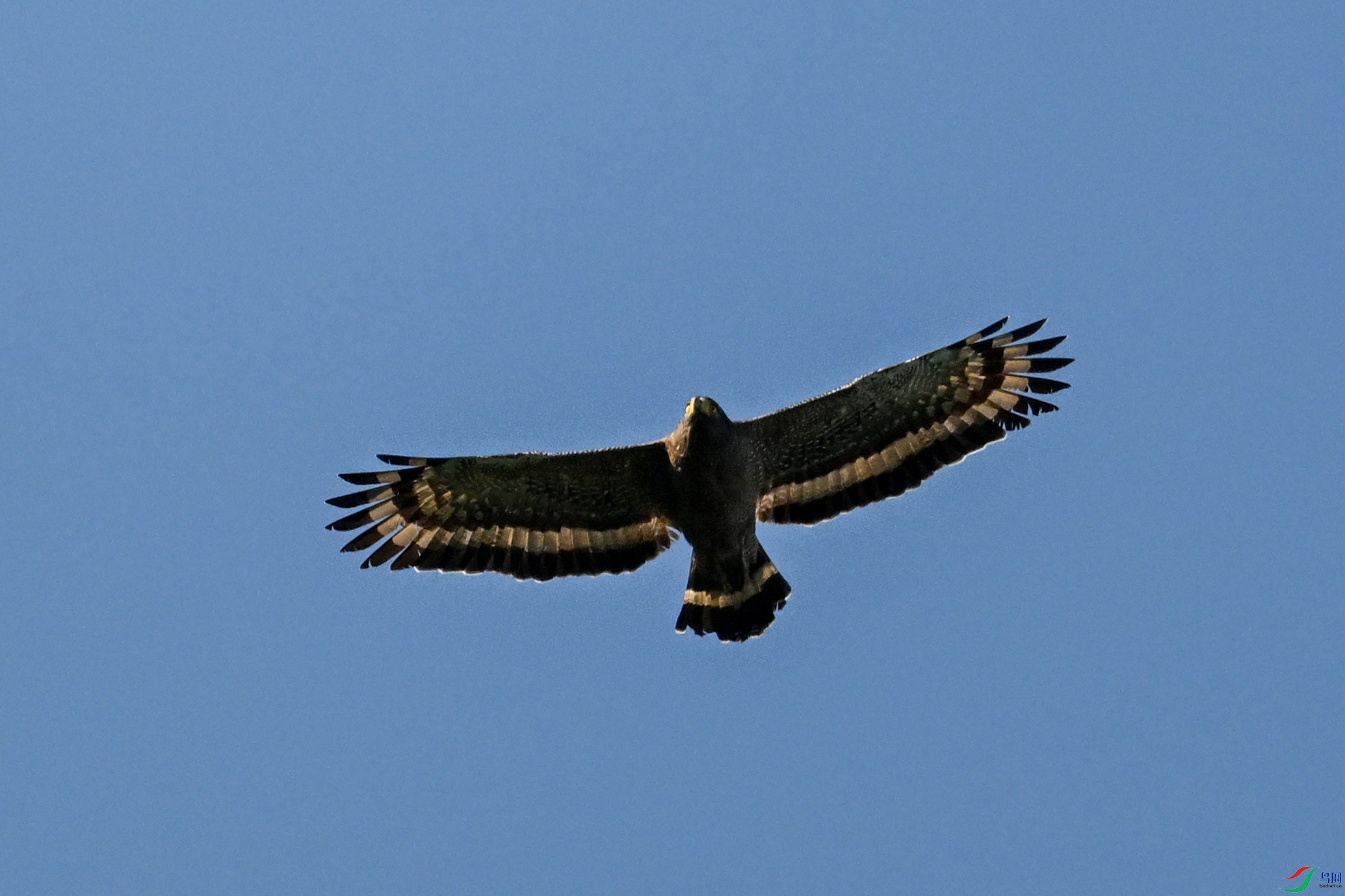 DSC_6291.JPG