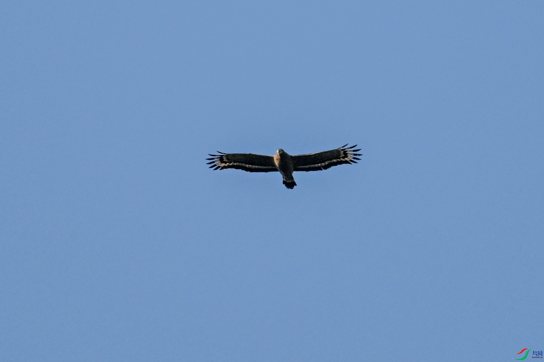 DSC_6235.JPG