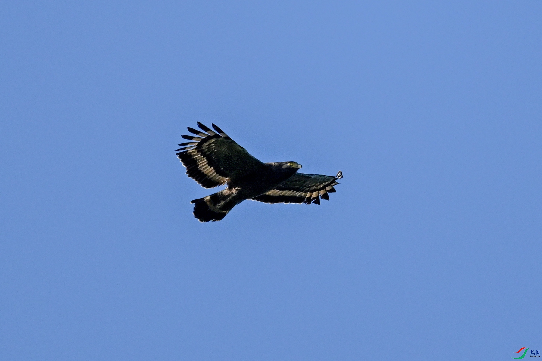 DSC_6276.JPG