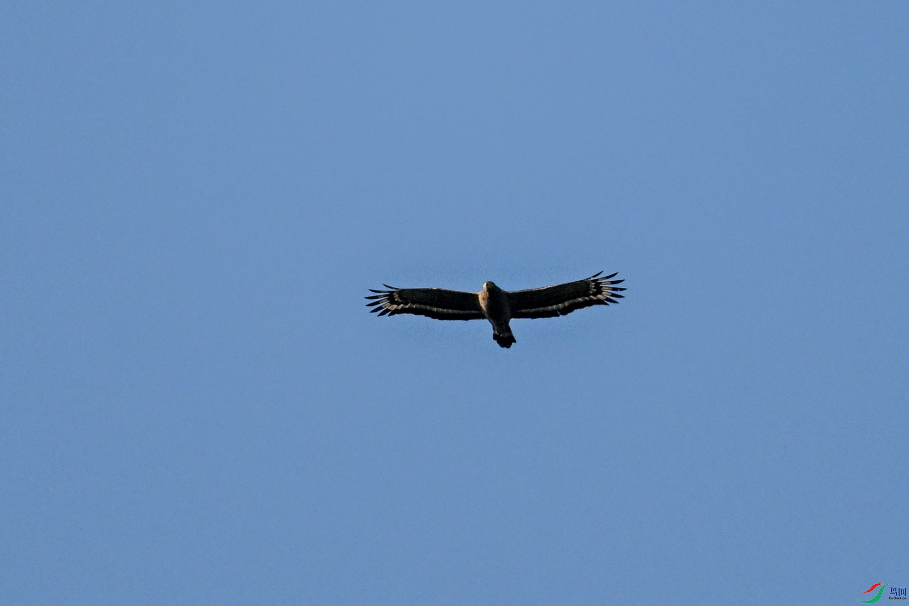 DSC_6236.JPG