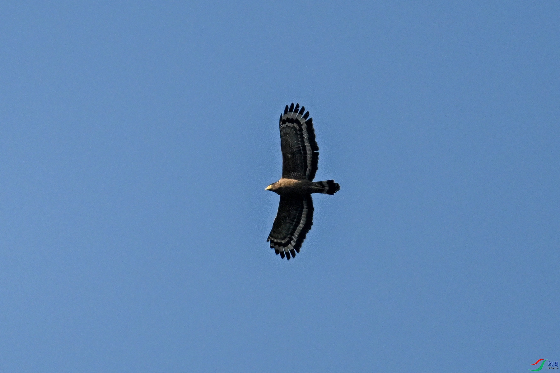 DSC_6256.JPG
