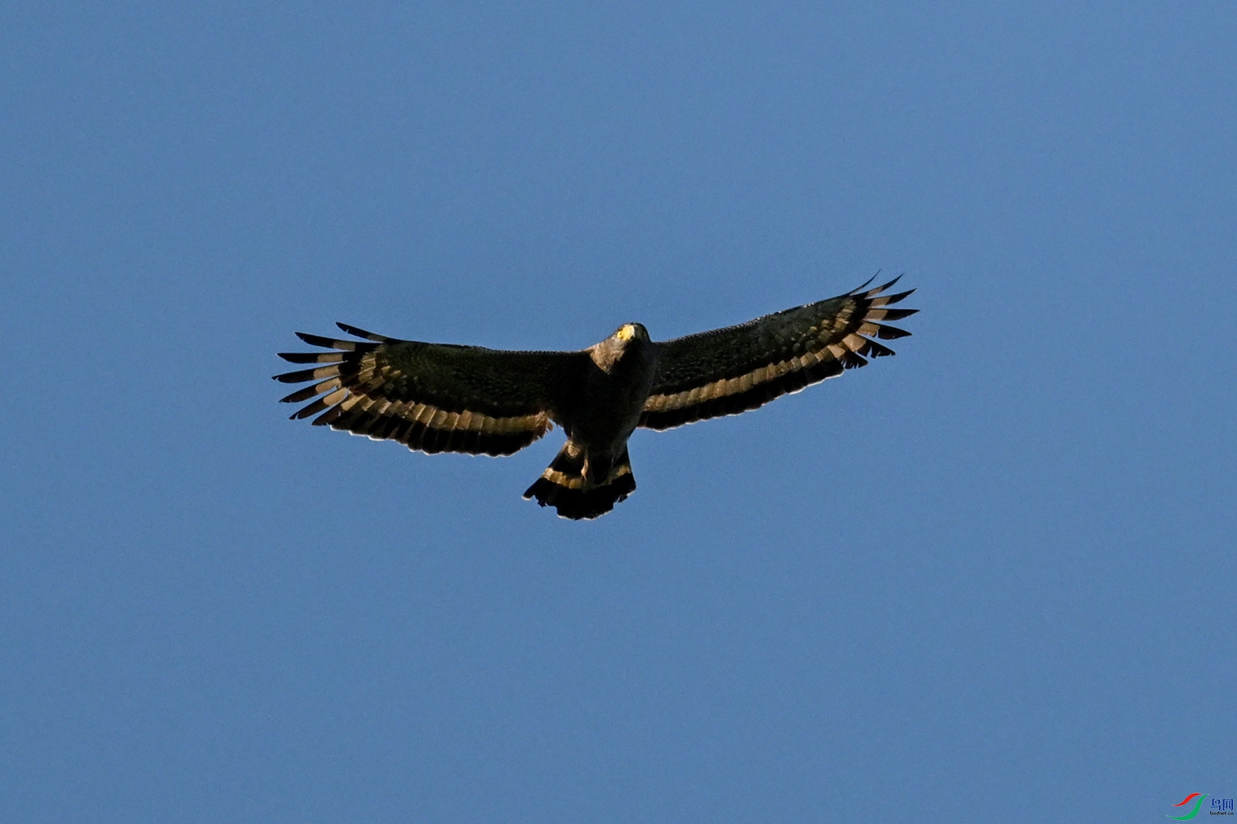 DSC_6284.JPG