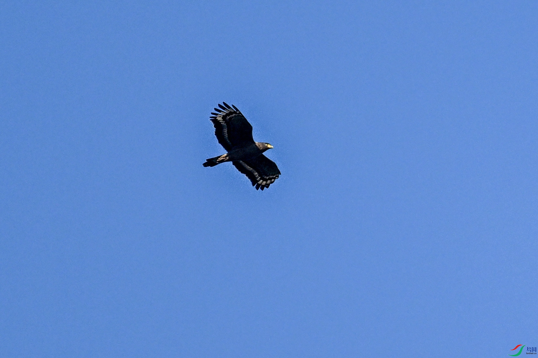 DSC_6259.JPG