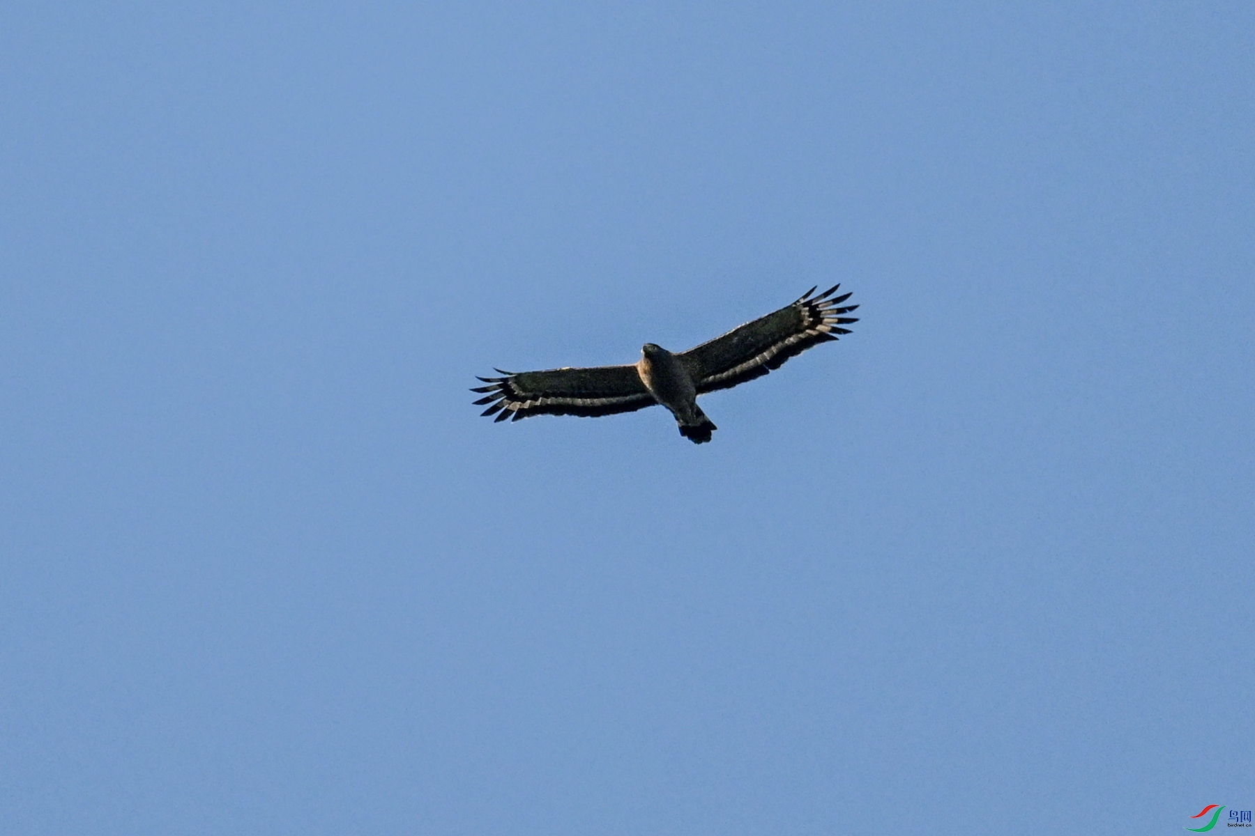 DSC_6239.JPG