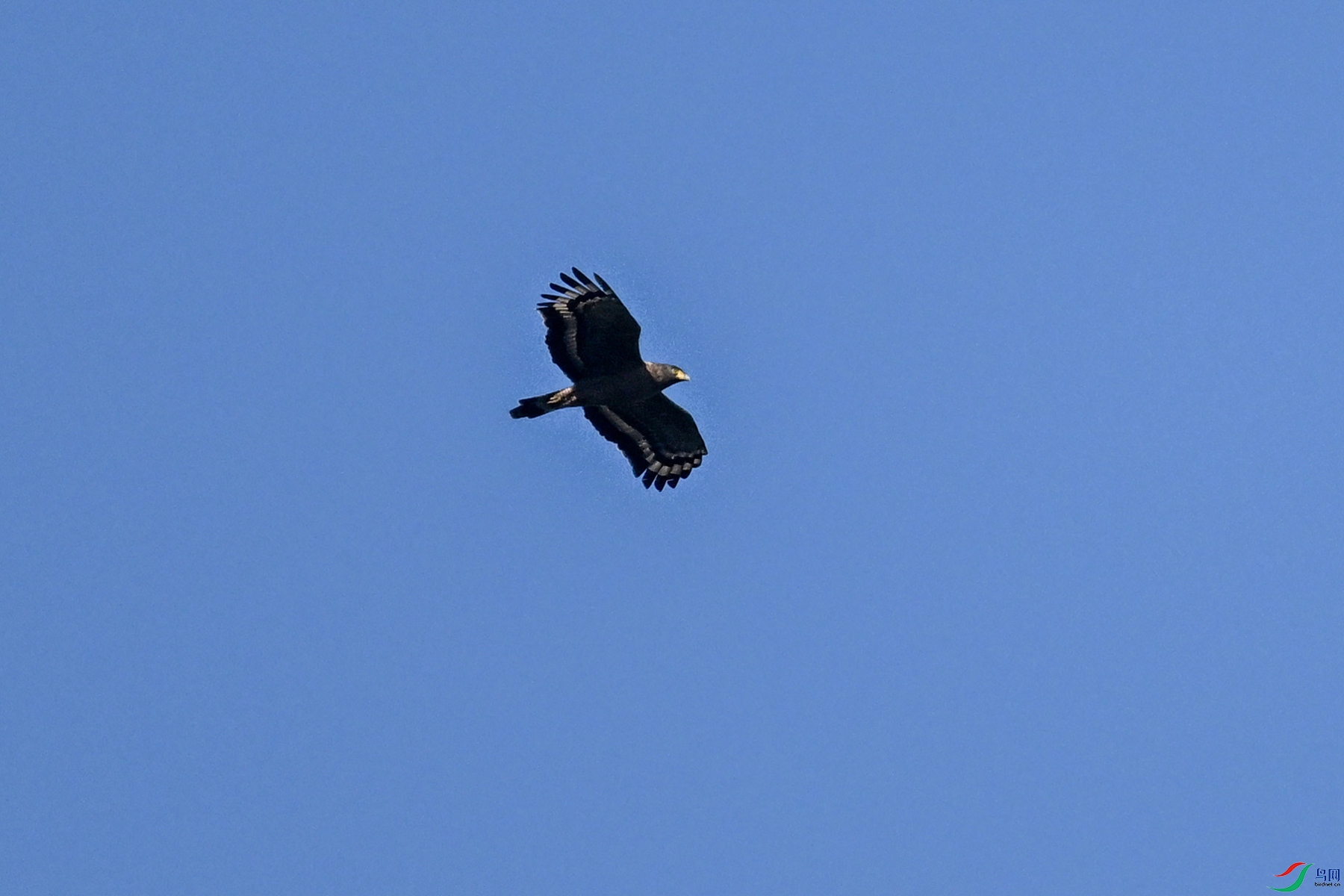 DSC_6262.JPG