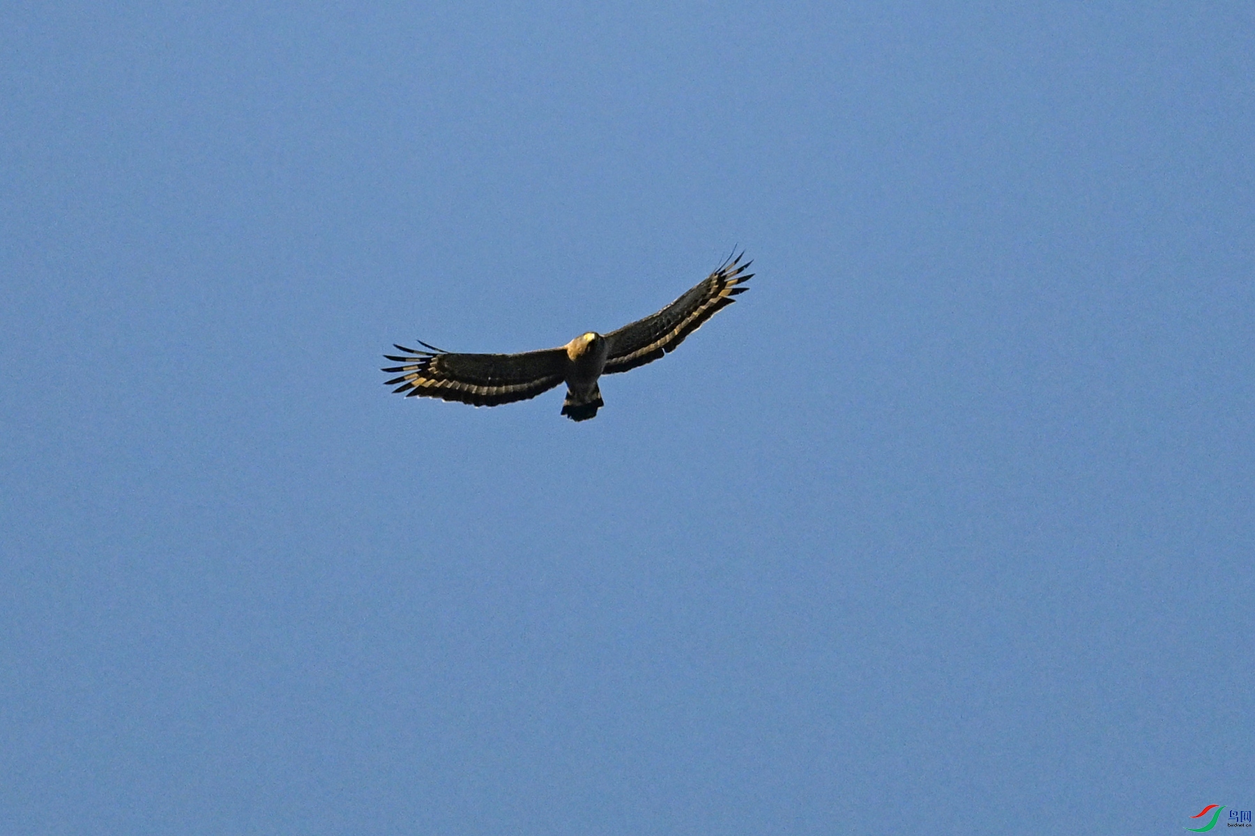 DSC_6241.JPG