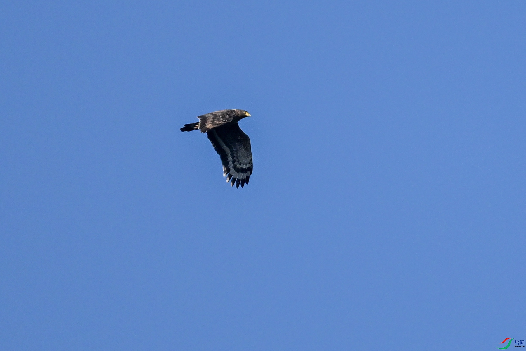 DSC_6266.JPG