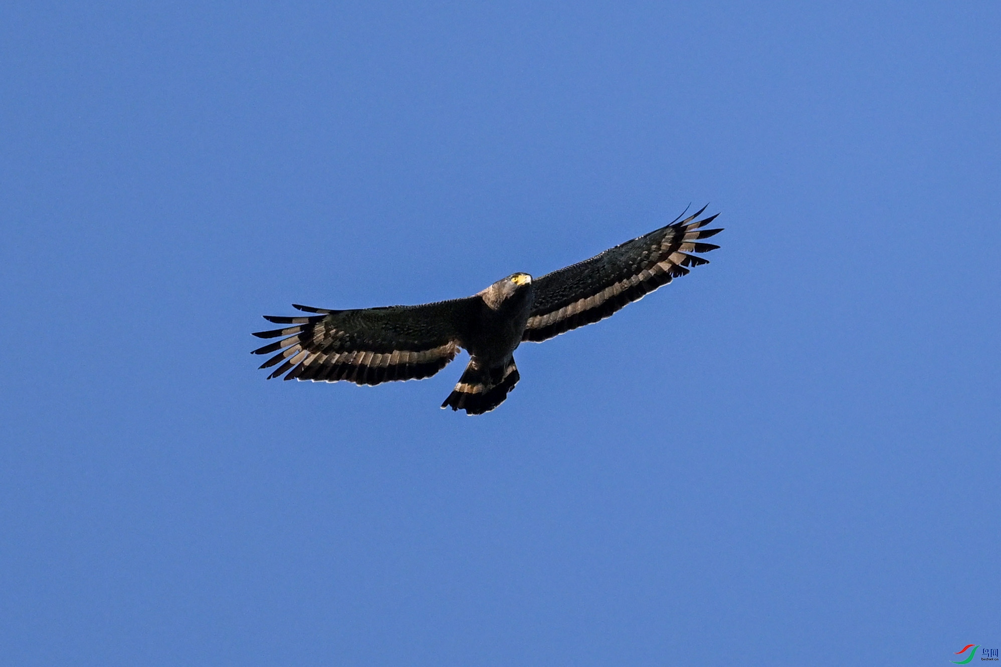 DSC_6295.JPG