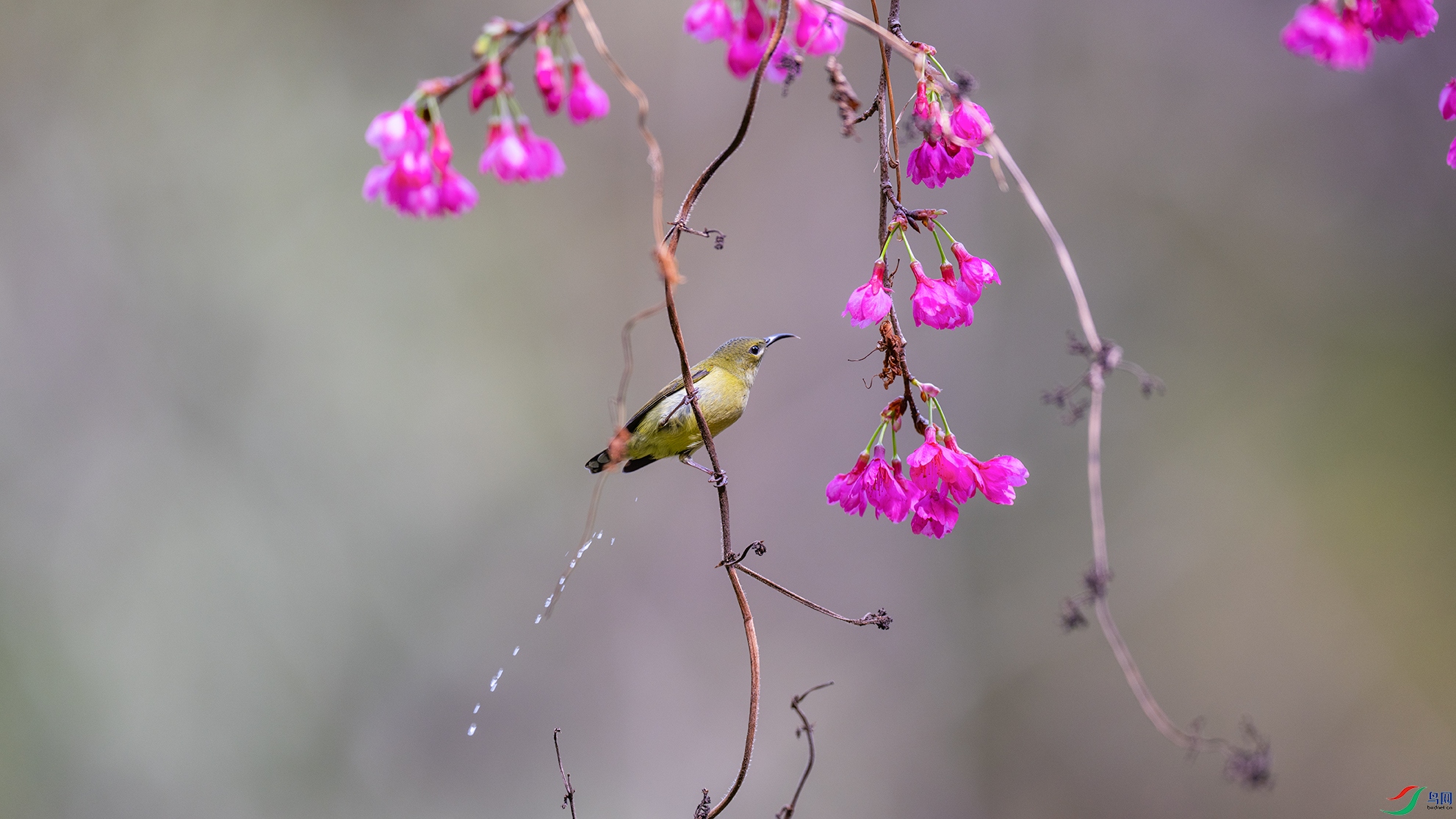 _DSC4161 ����.jpg