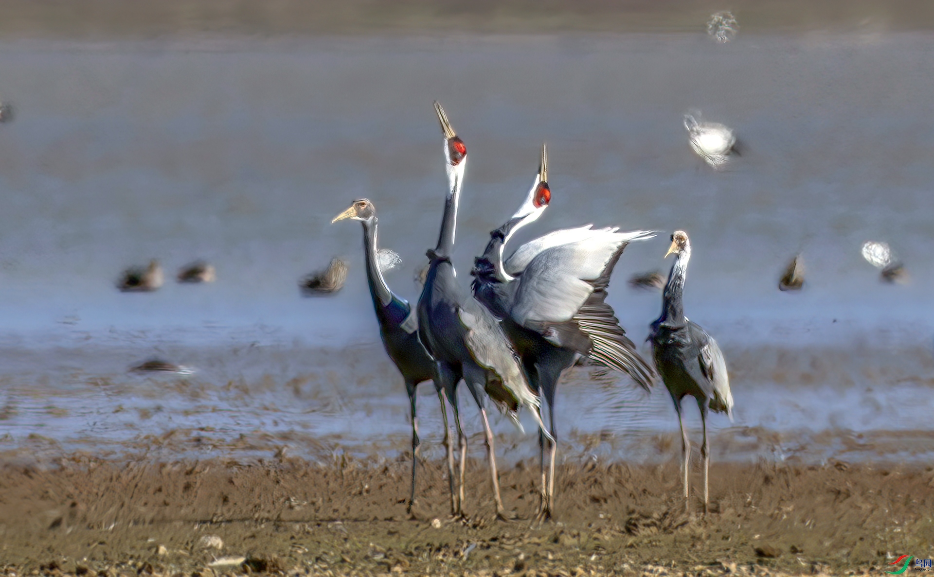 407A7015----33  .jpg