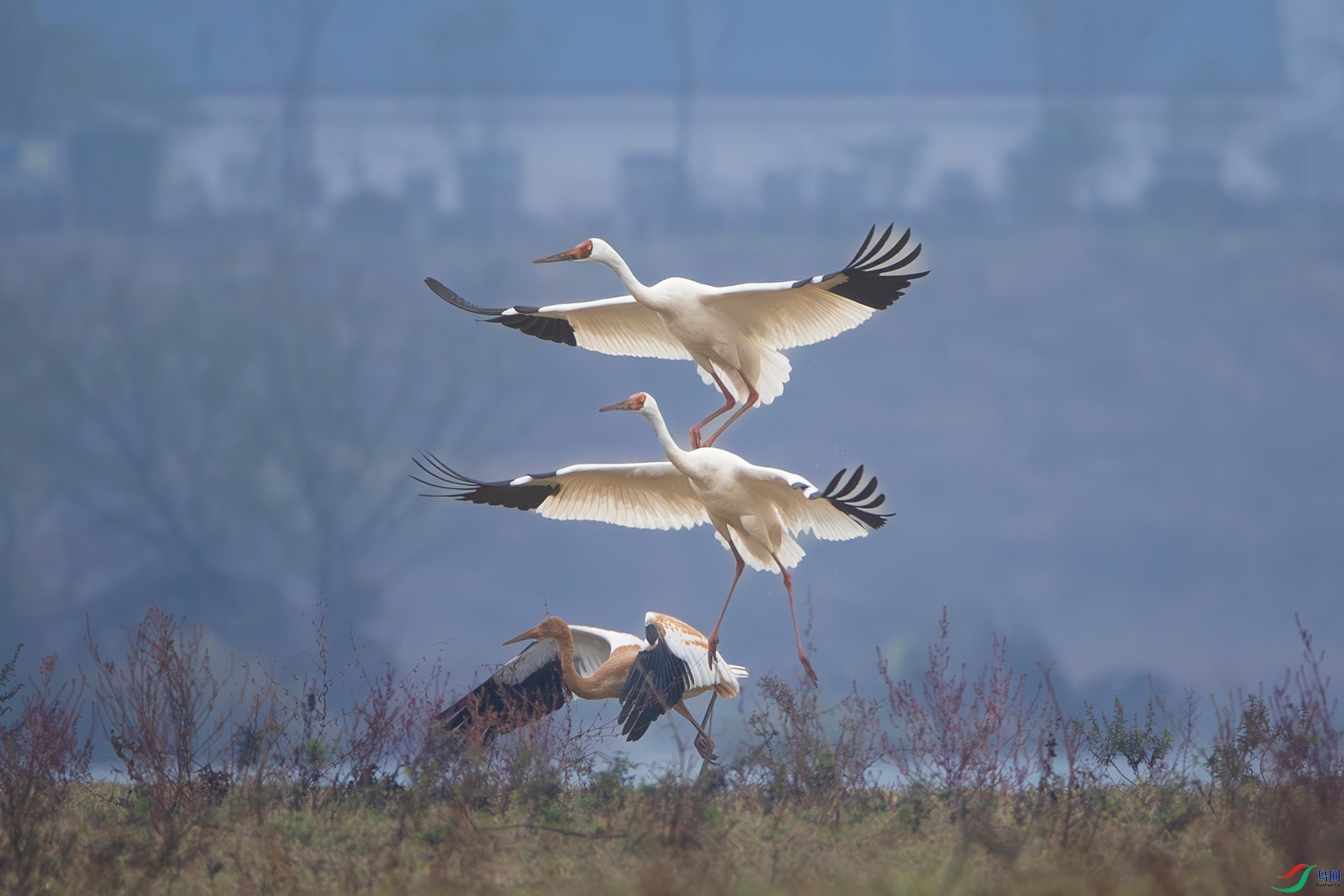 AS4I3537 ����.jpg