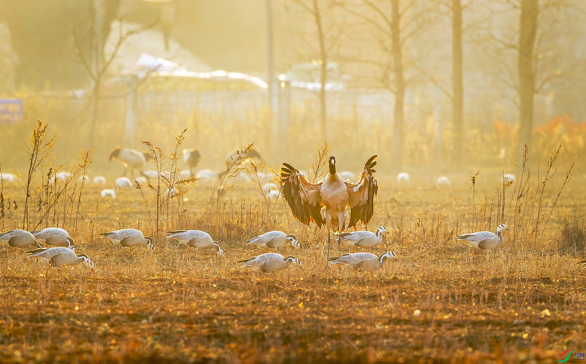 ��������Ⱥ�� ����.jpg