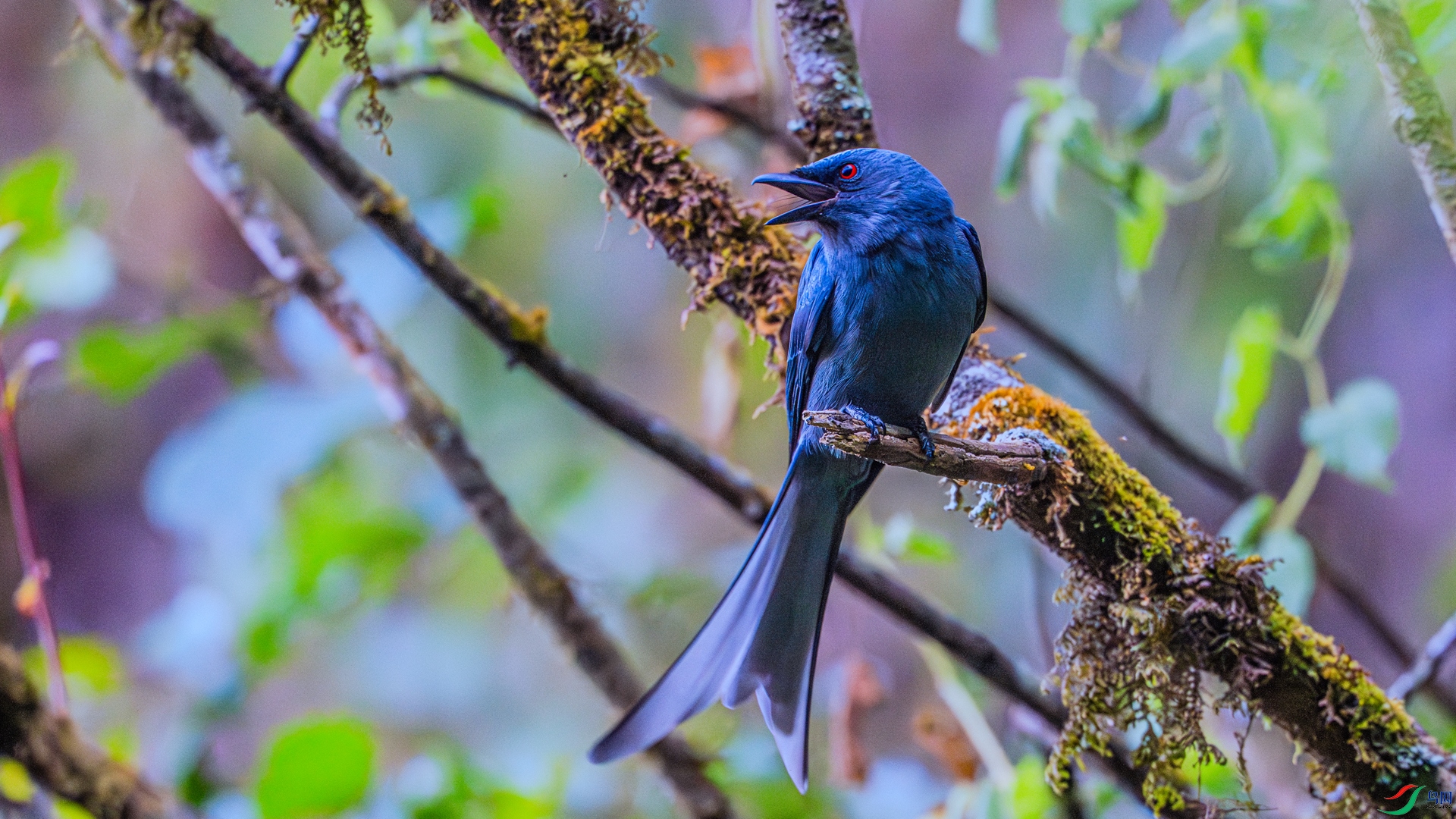 DSC00452 ����_����.jpg