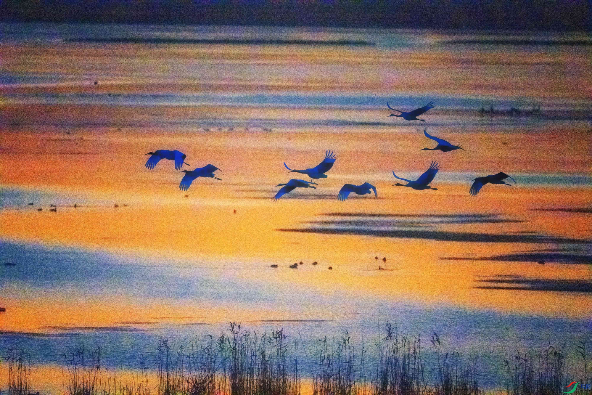 _DSC6488 ����1_1.jpg