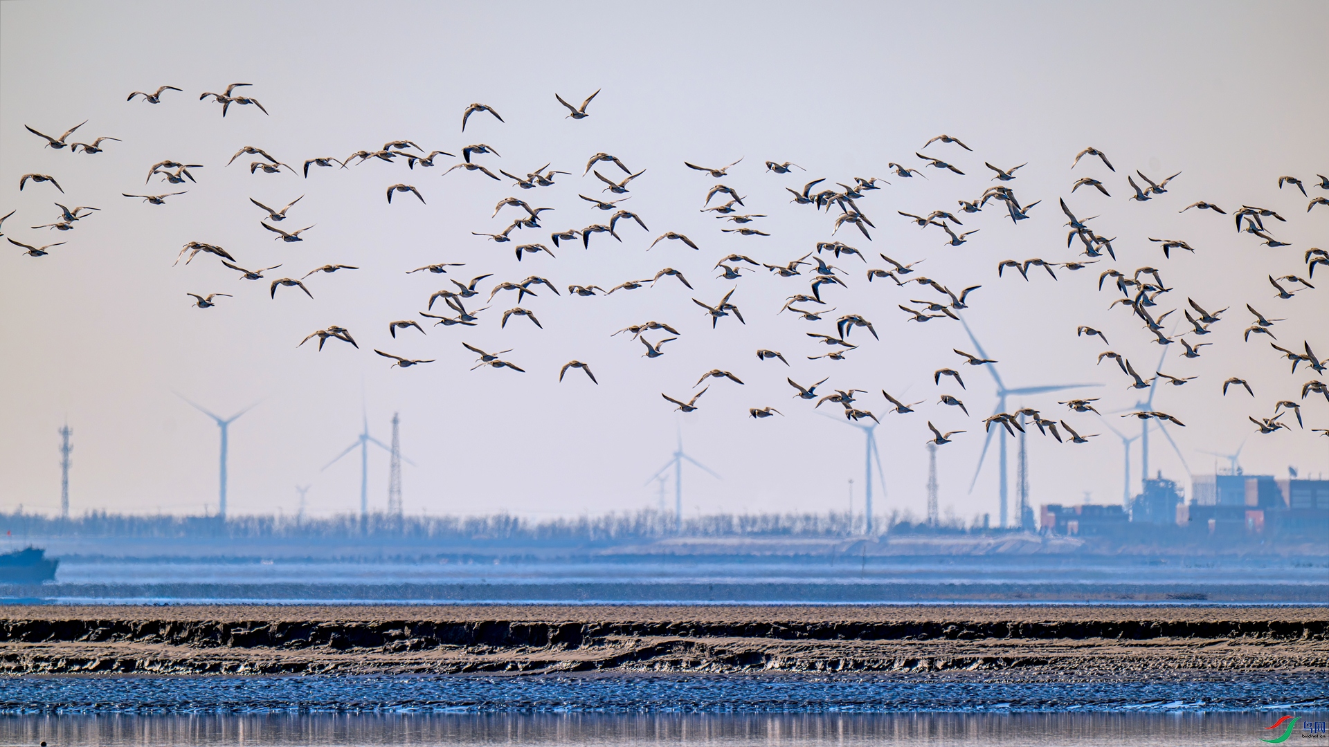 DSC_0729 ����_����.jpg