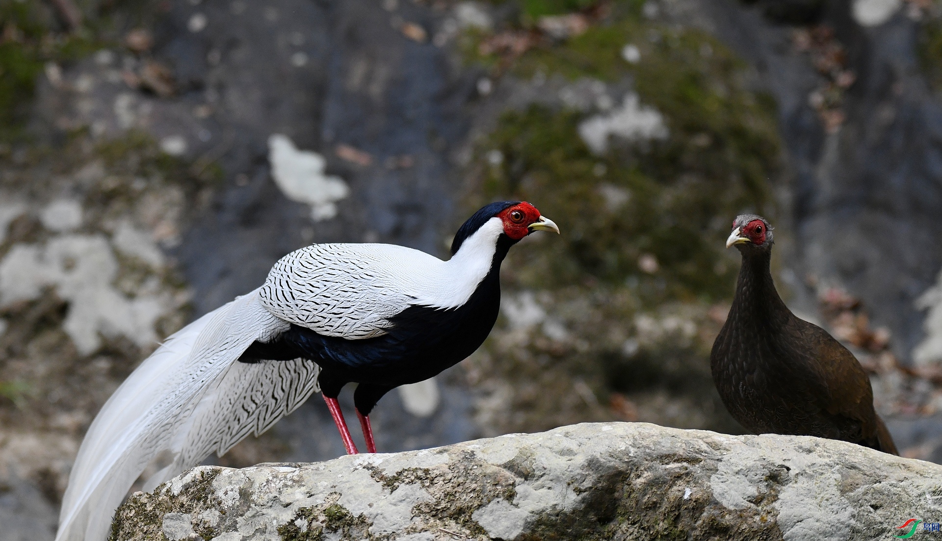 DSC_2076.jpg