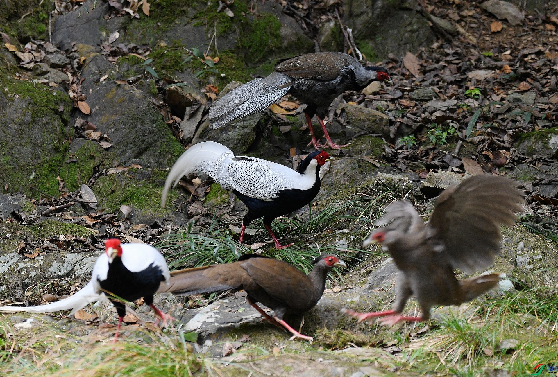 DSC_2068.jpg