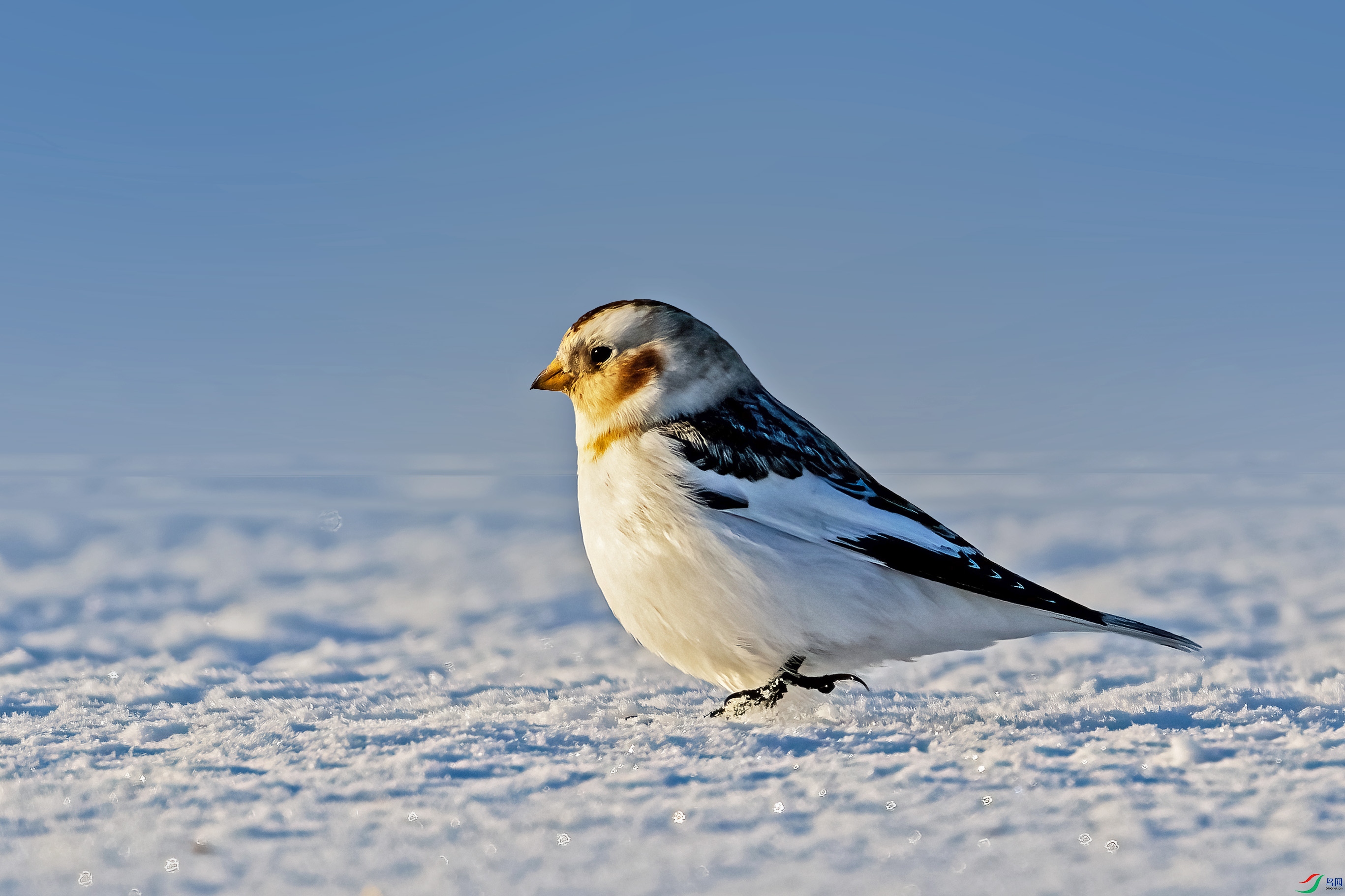 DSC_5906.jpg