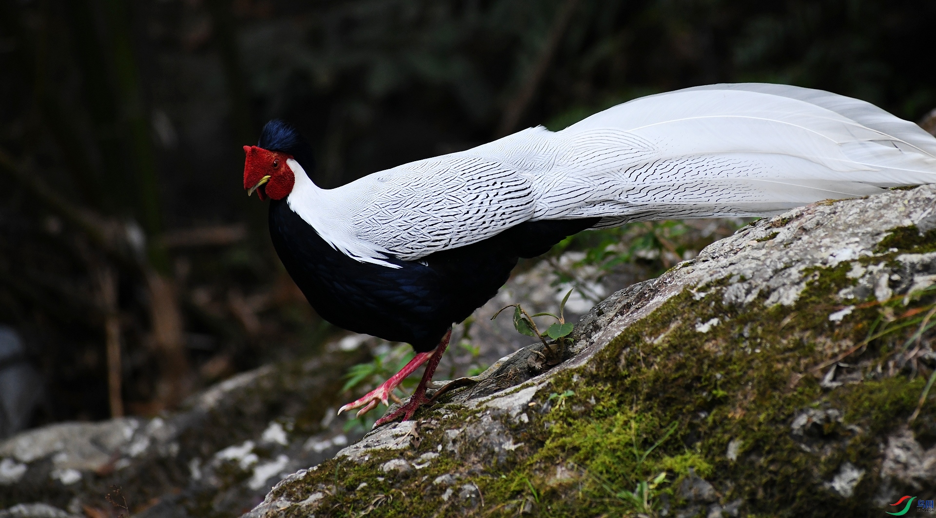 DSC_2930.jpg