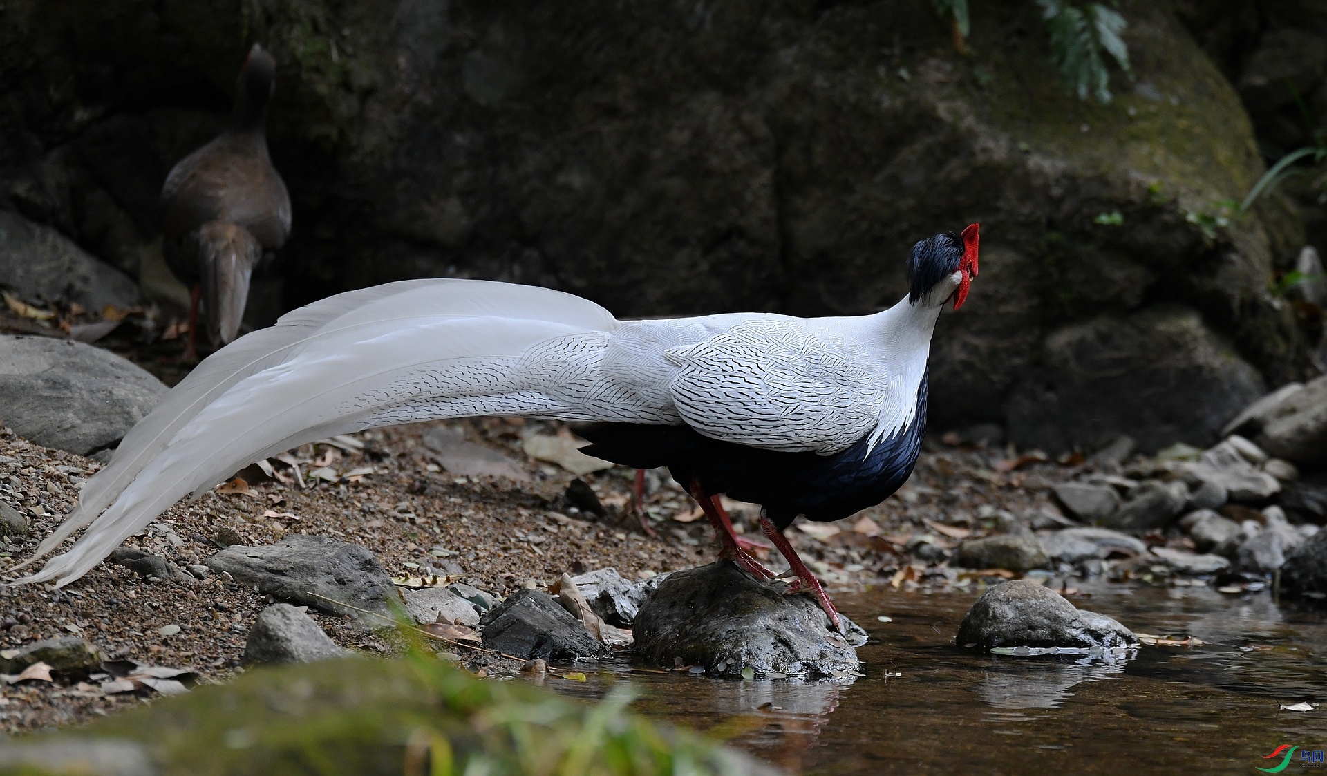 DSC_3294.jpg