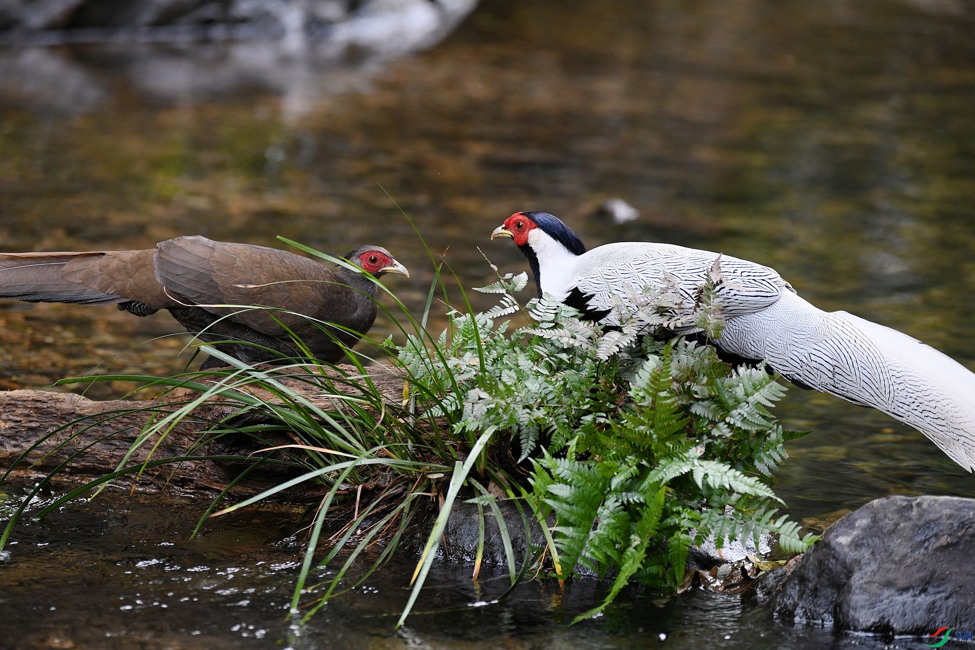 DSC_3112.jpg