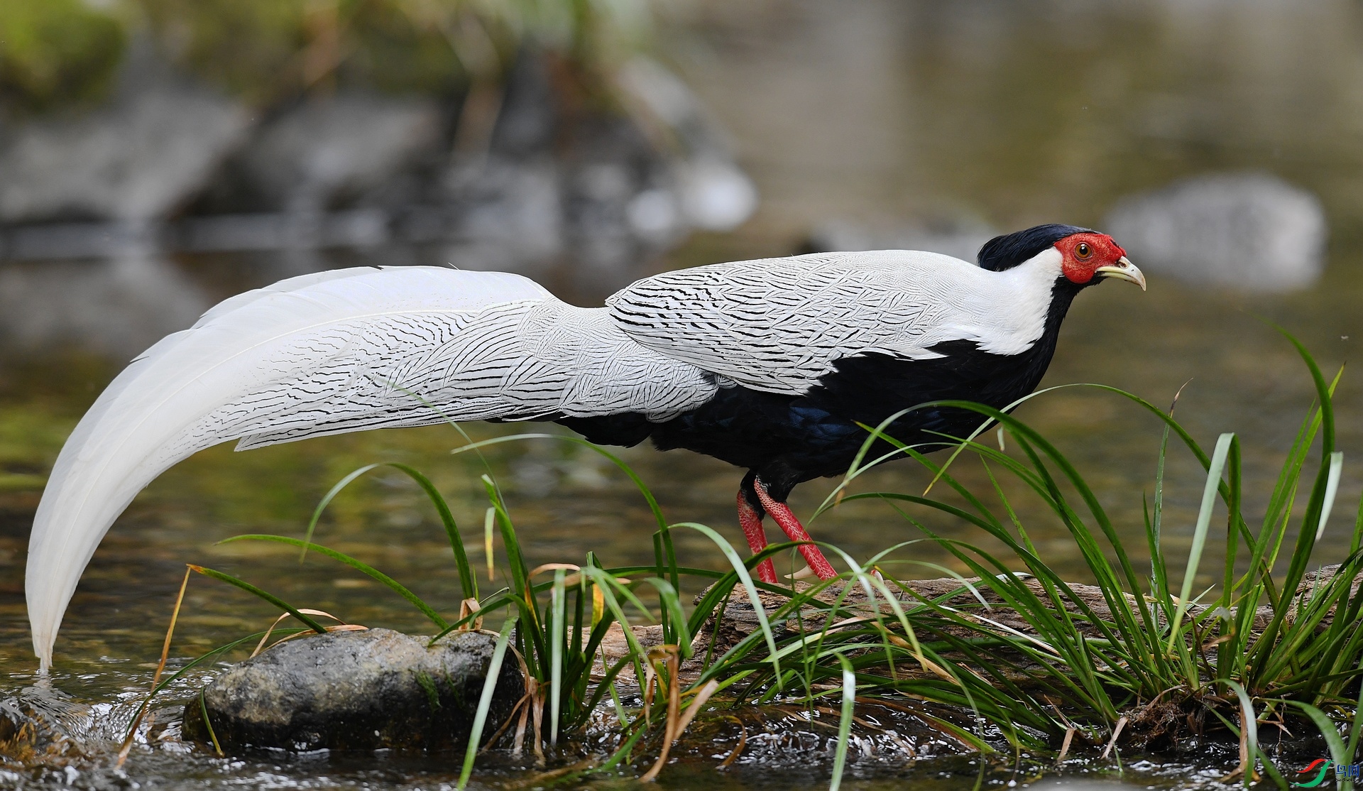 DSC_3392.jpg