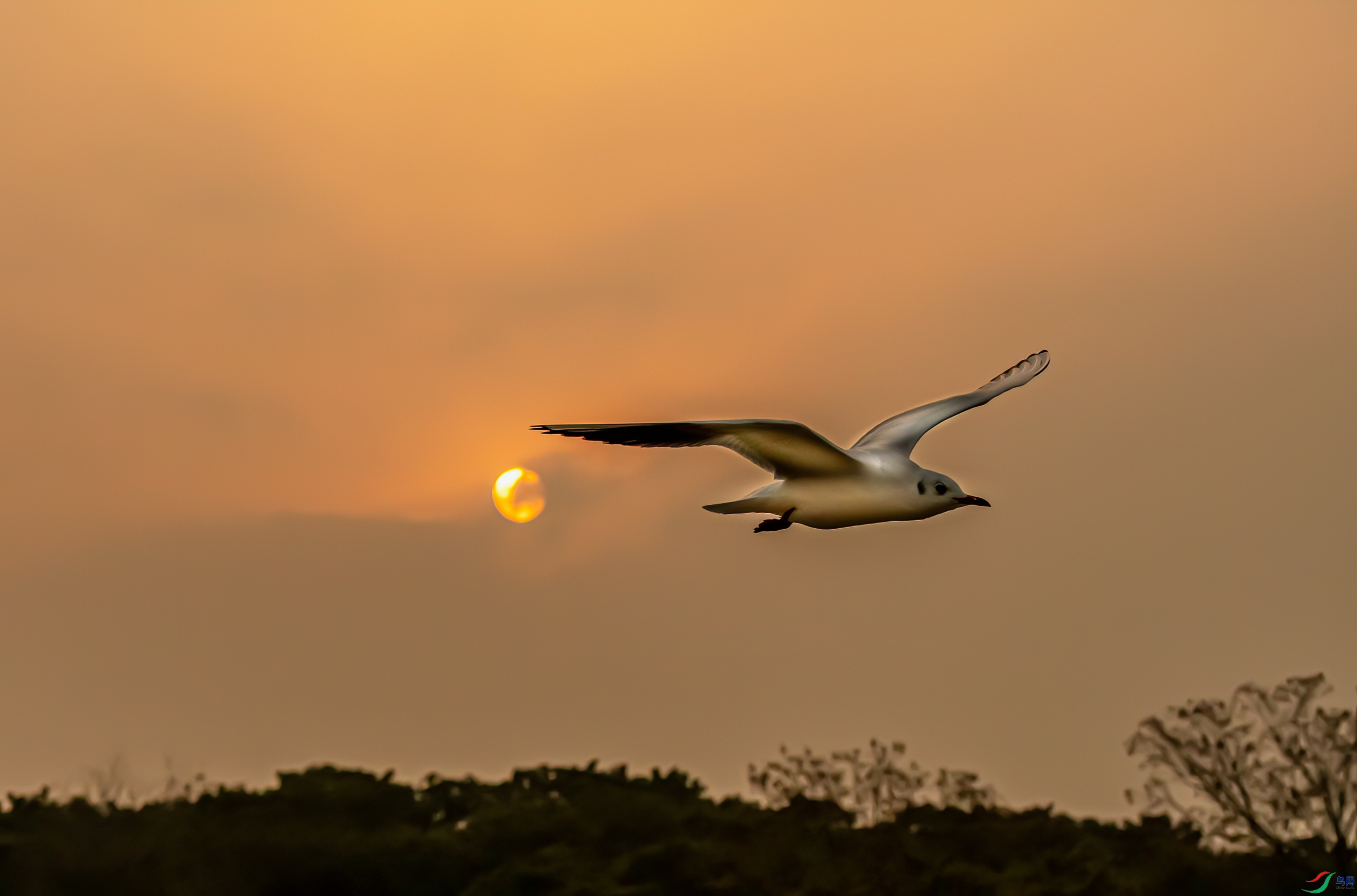DSC_6735-1.jpg