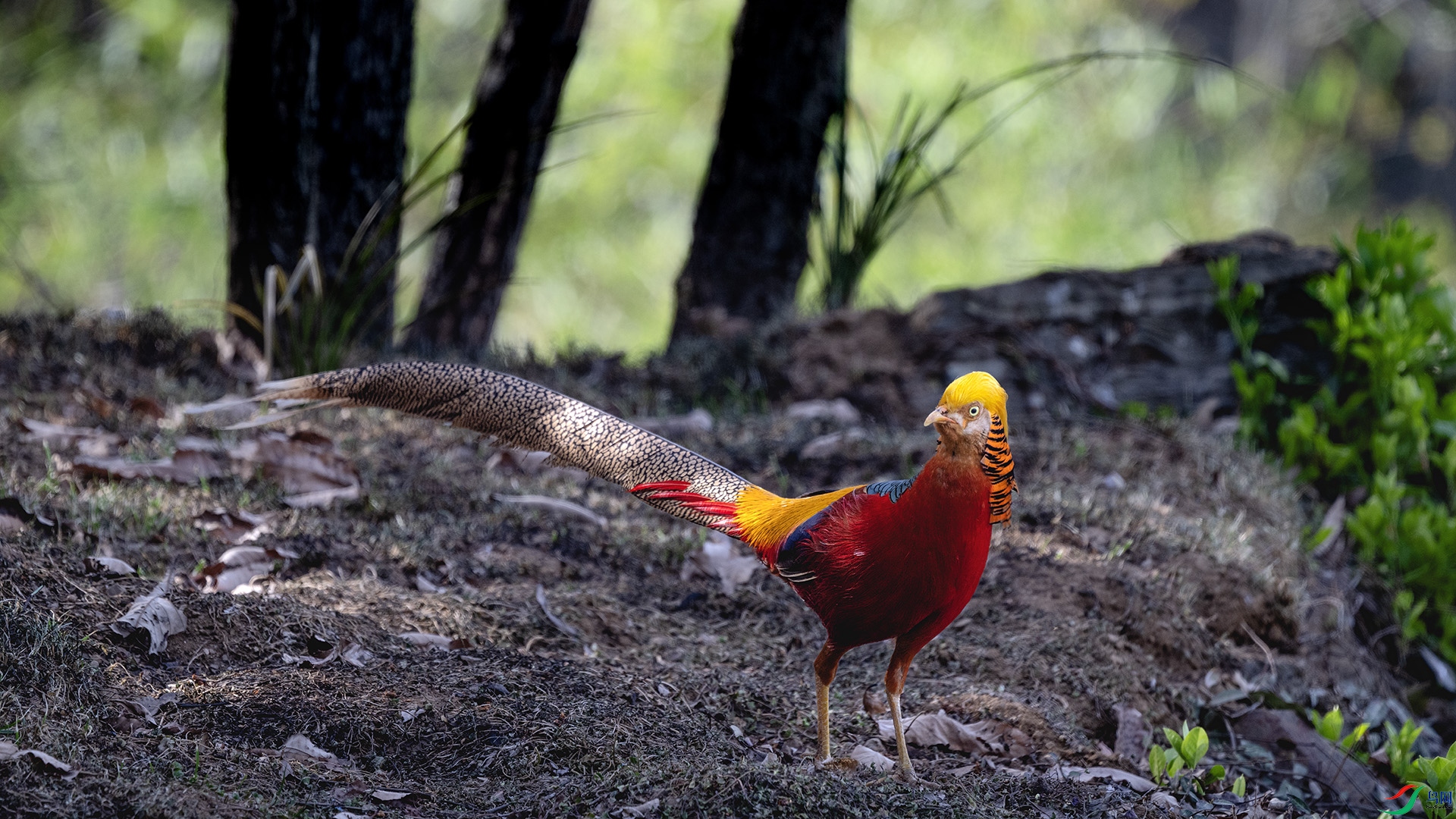 DSC_8986 ����.jpg