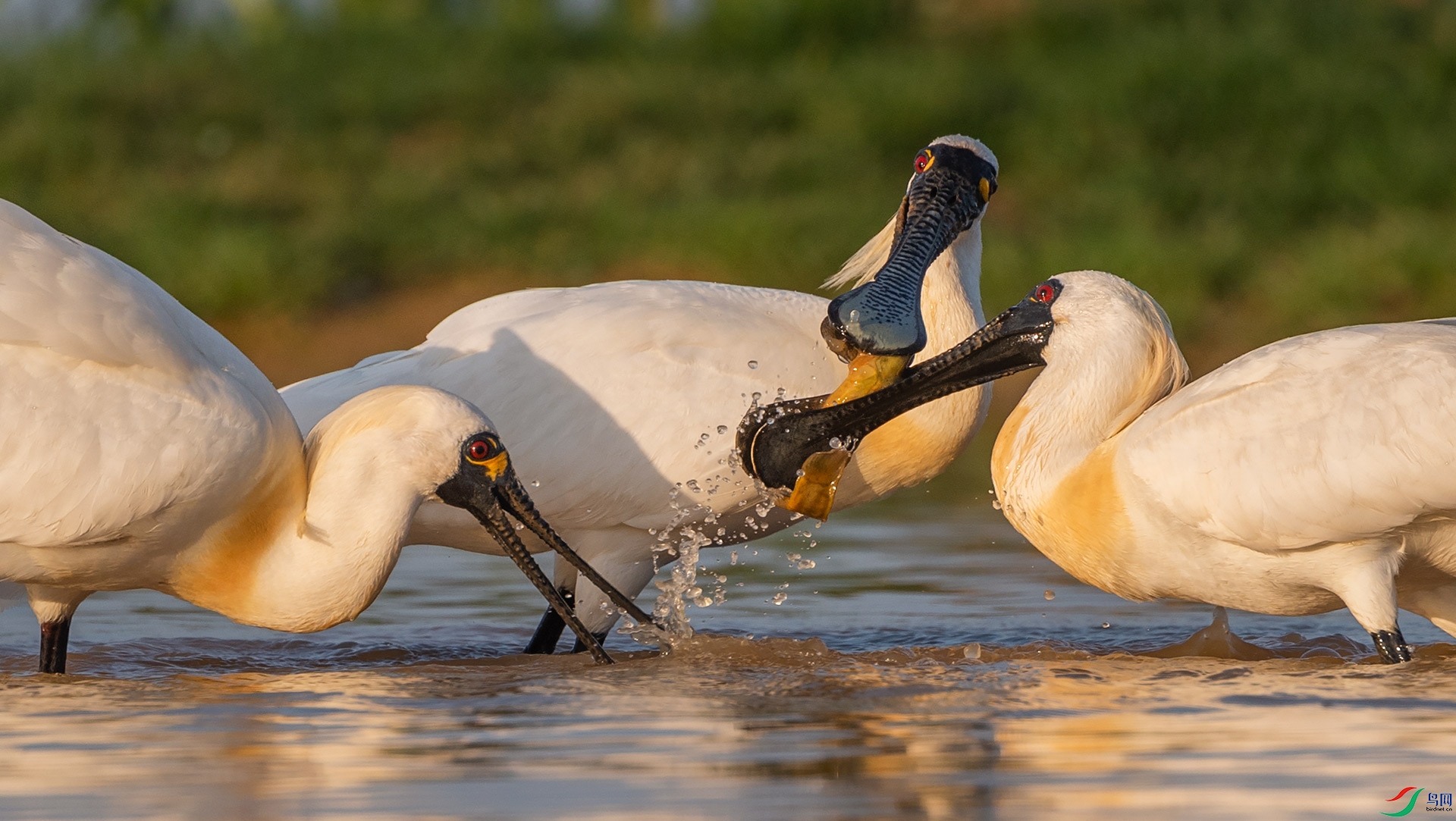 ��������