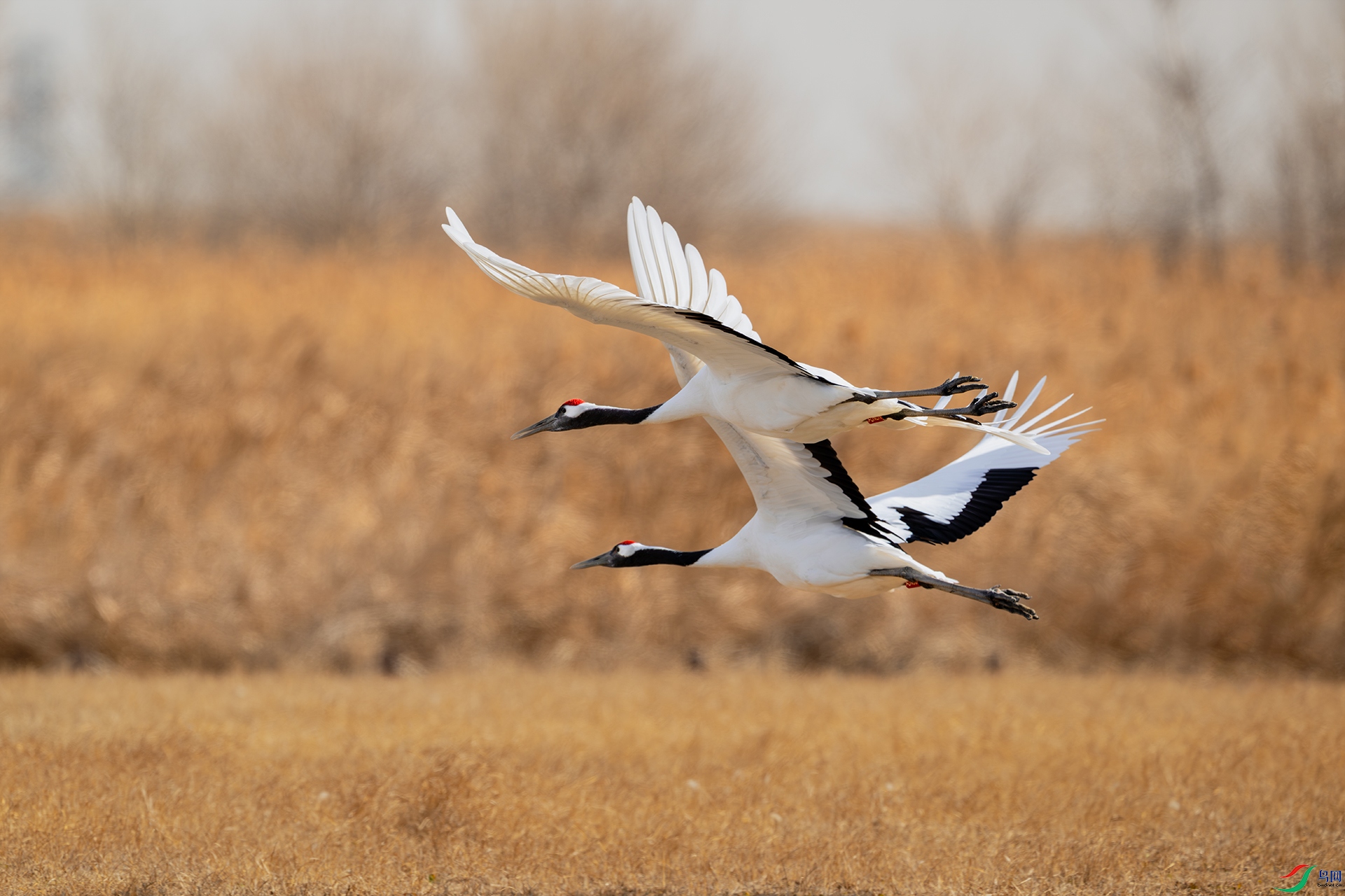 _DSC7438-����ǿ-NR ����С.jpg