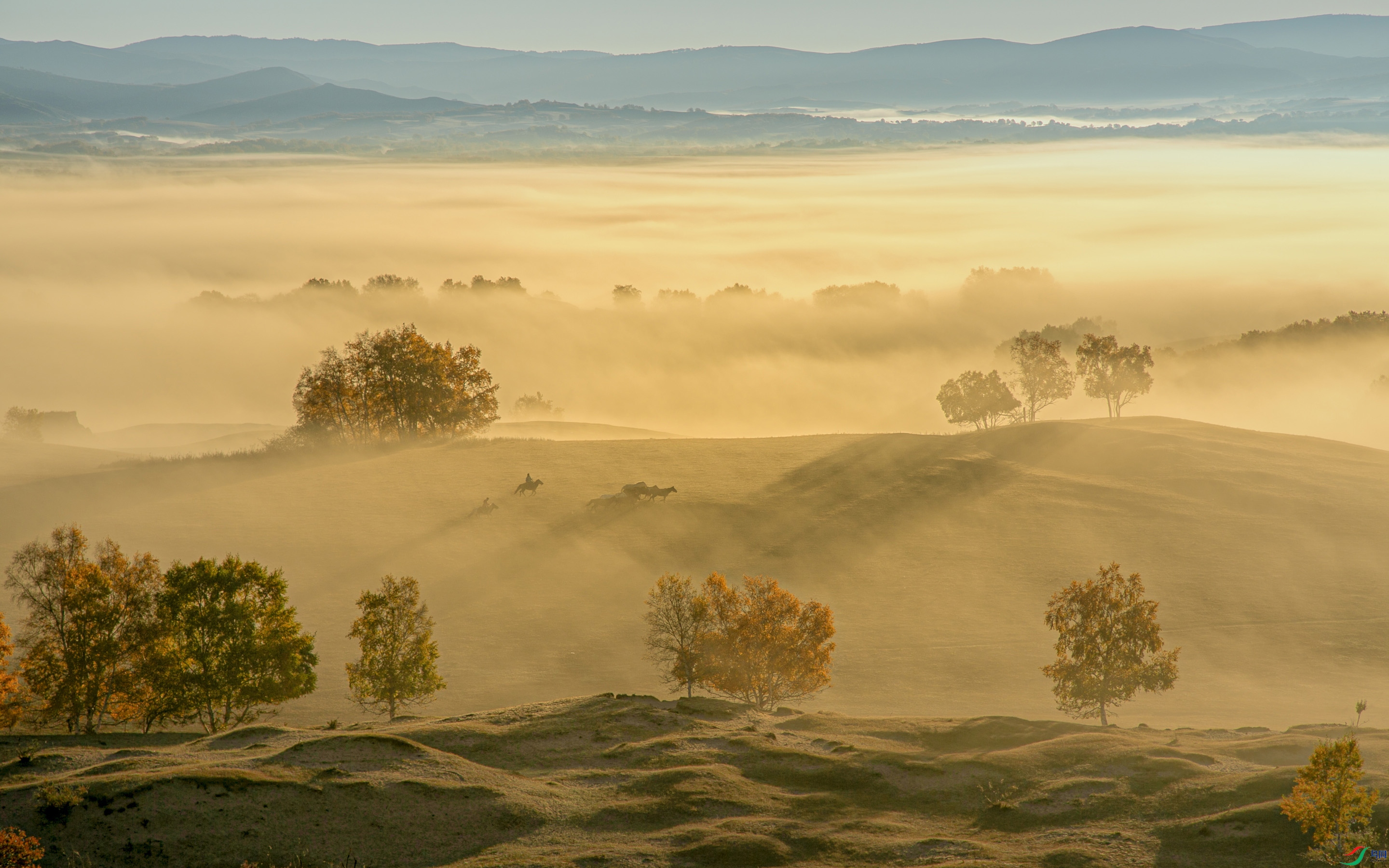 673A4905 ����.jpg