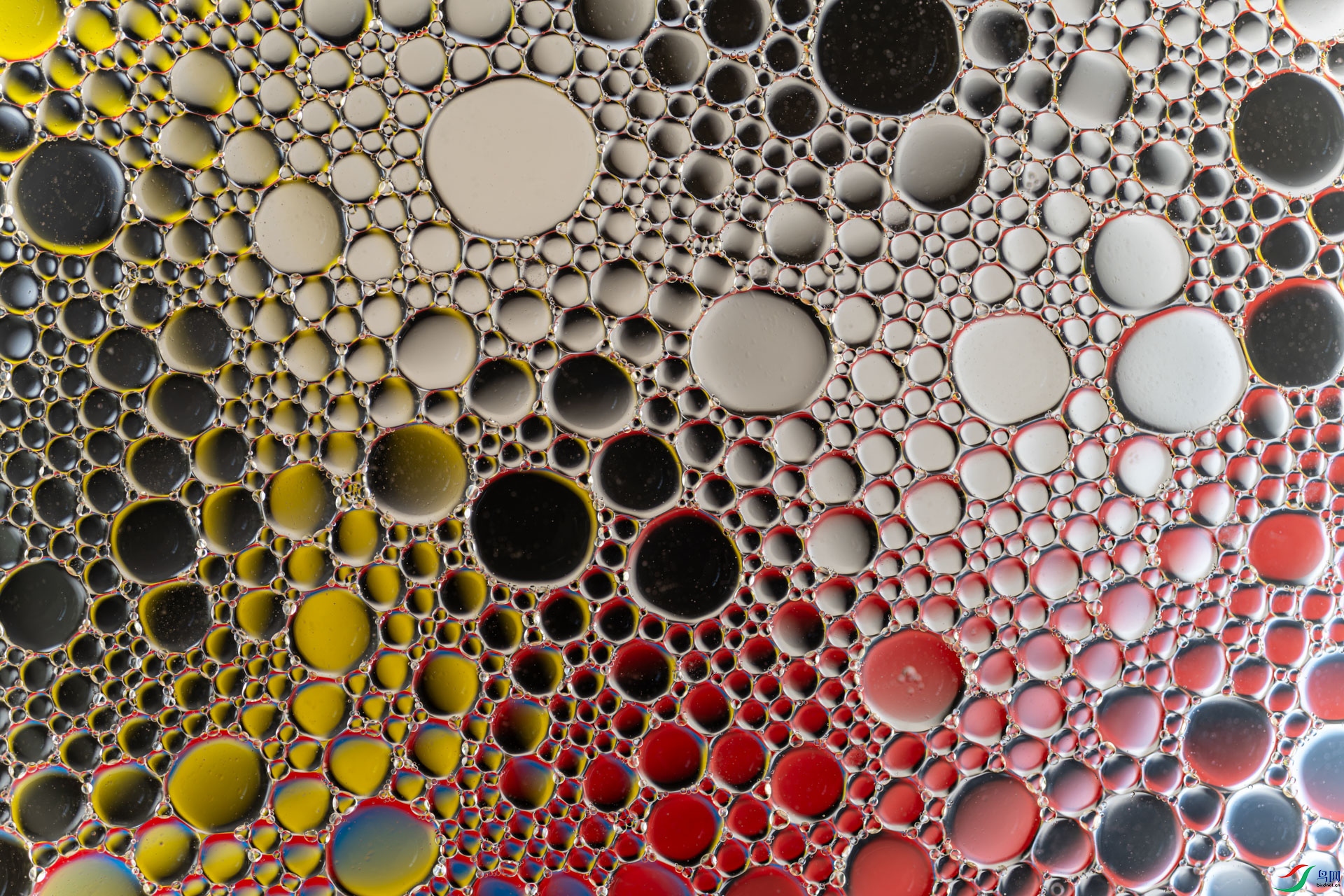 DSC_1470 ����.jpg