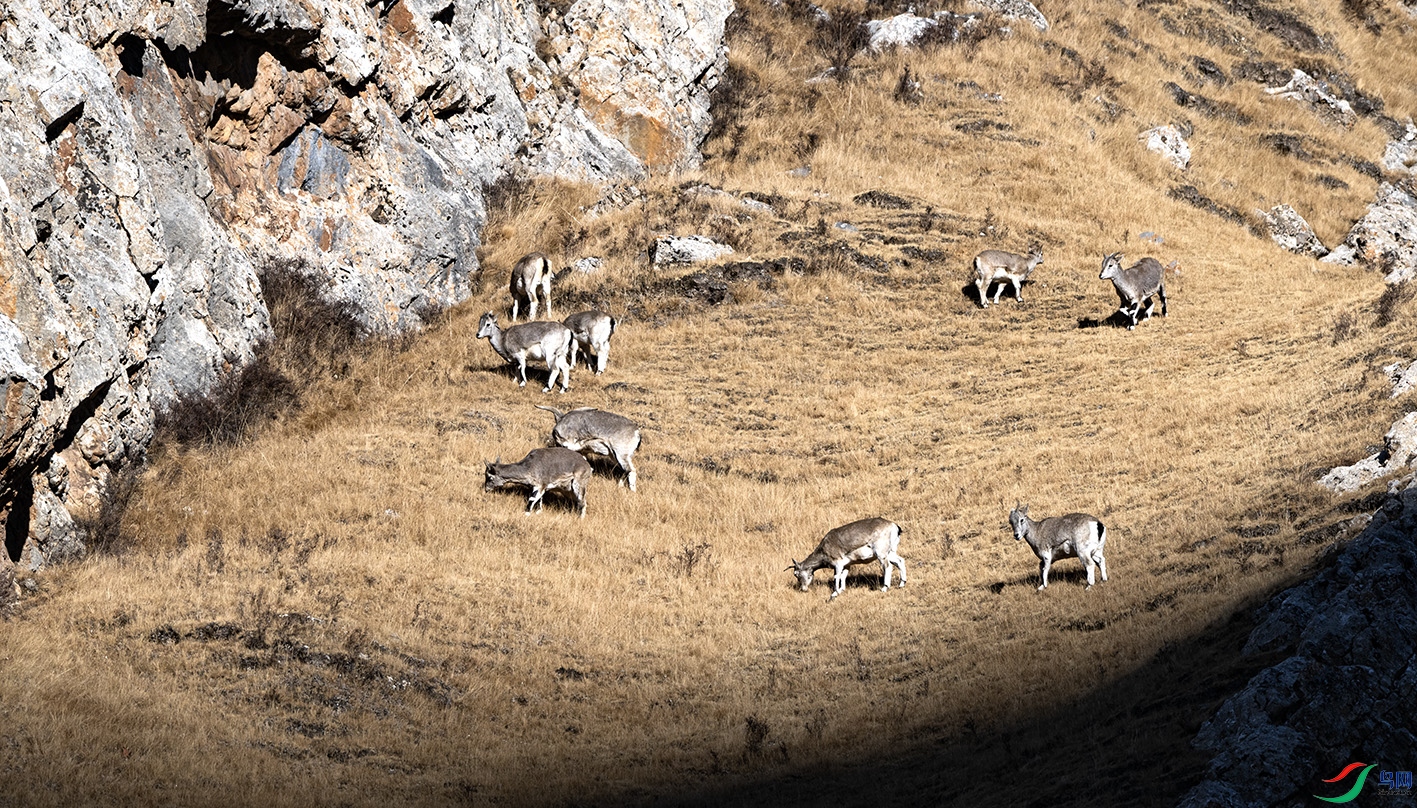 _DSC9601 ����.jpg