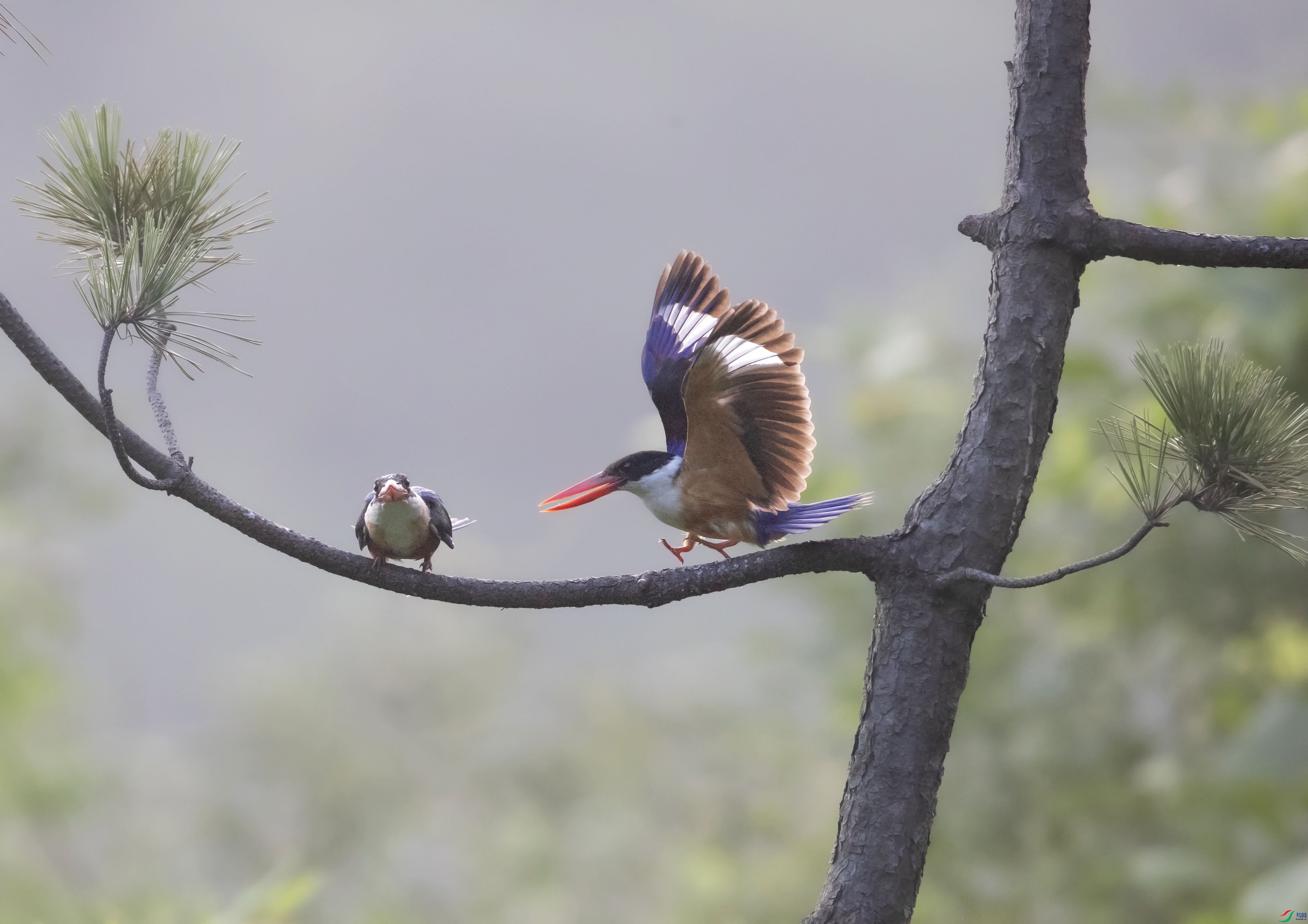 A79I6843 ����.jpg