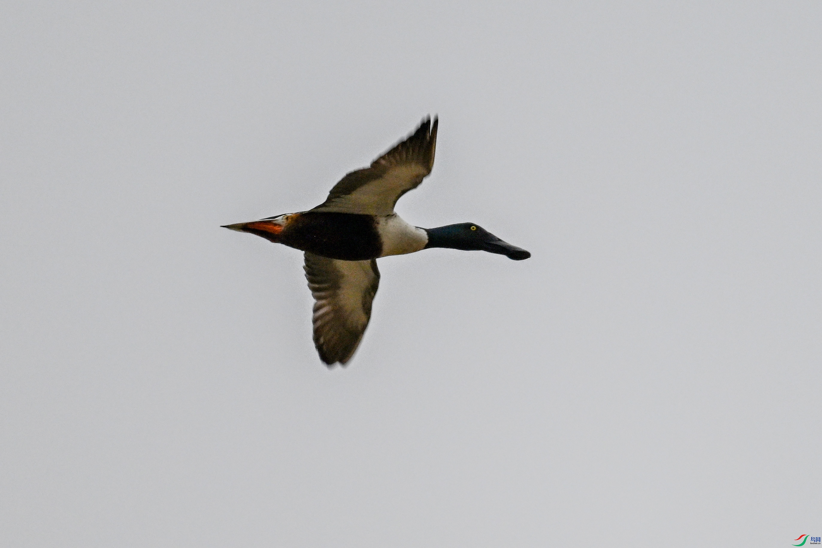 DSC_7825.JPG
