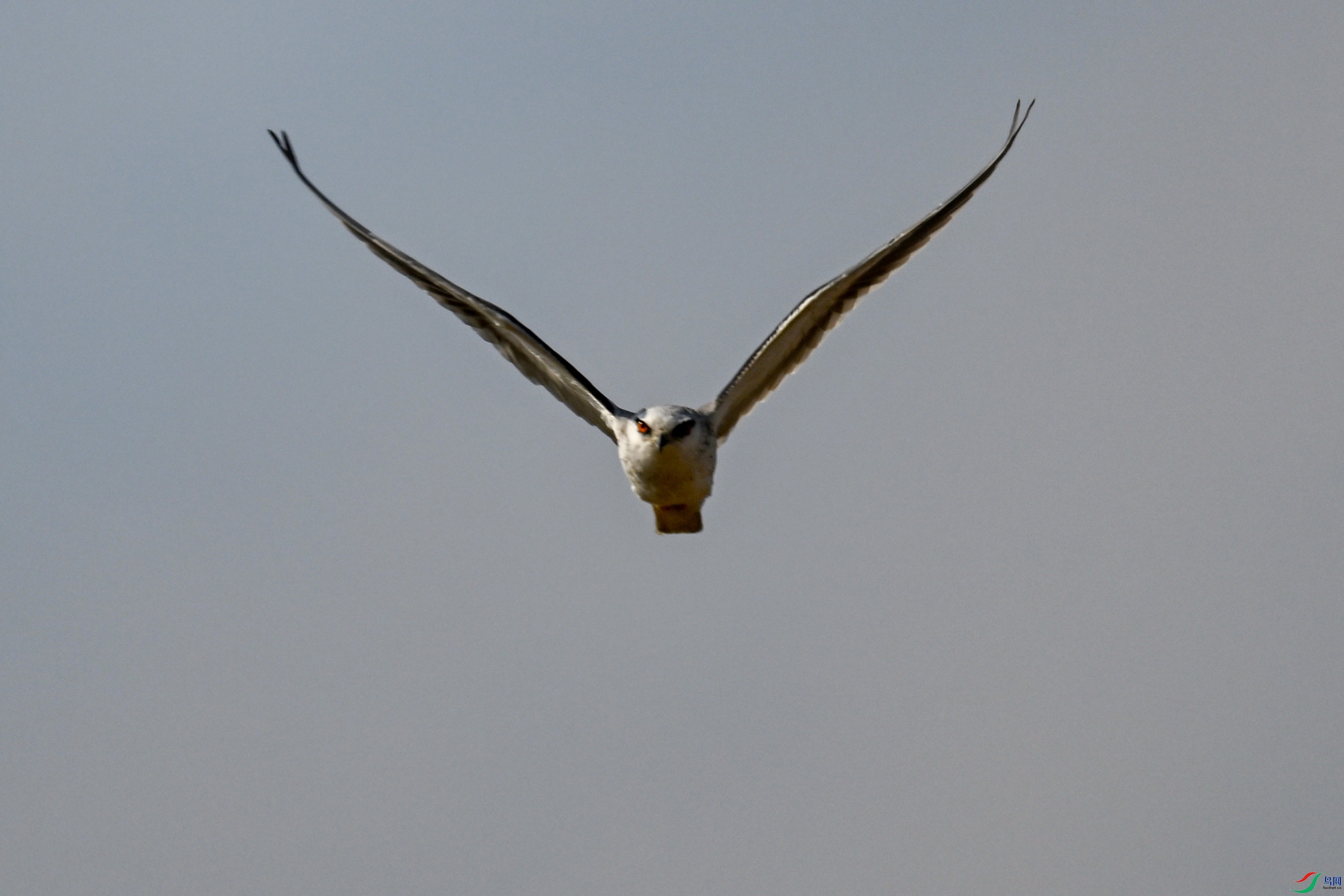 DSC_8202.JPG
