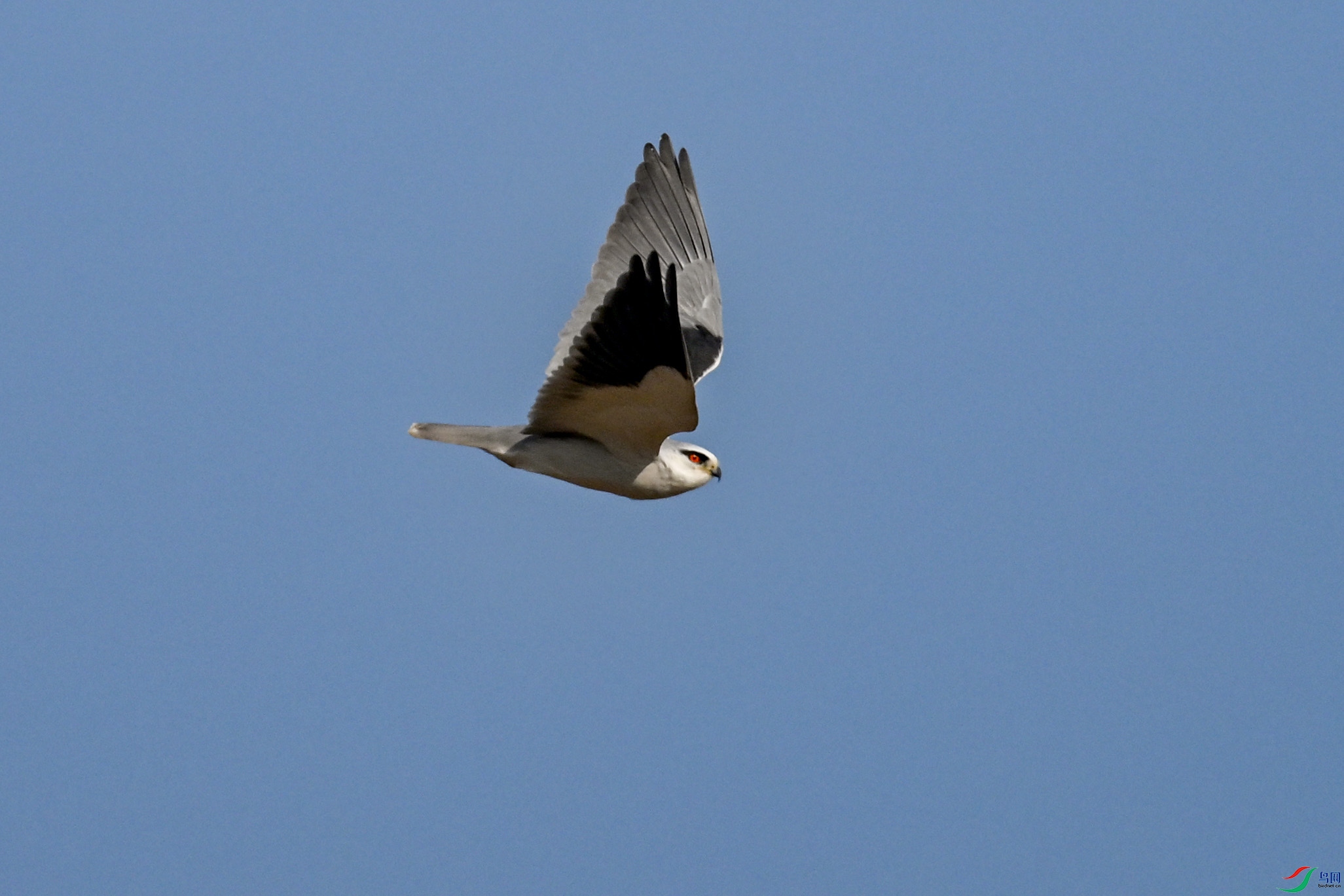 DSC_8246.JPG