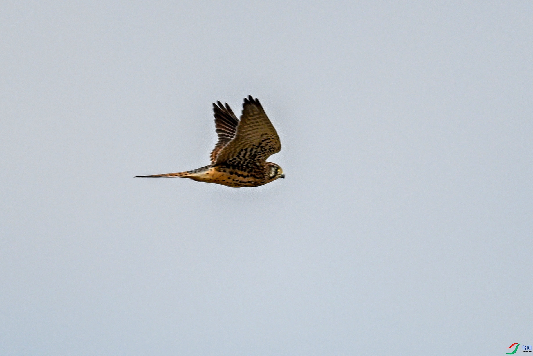 DSC_8135.JPG