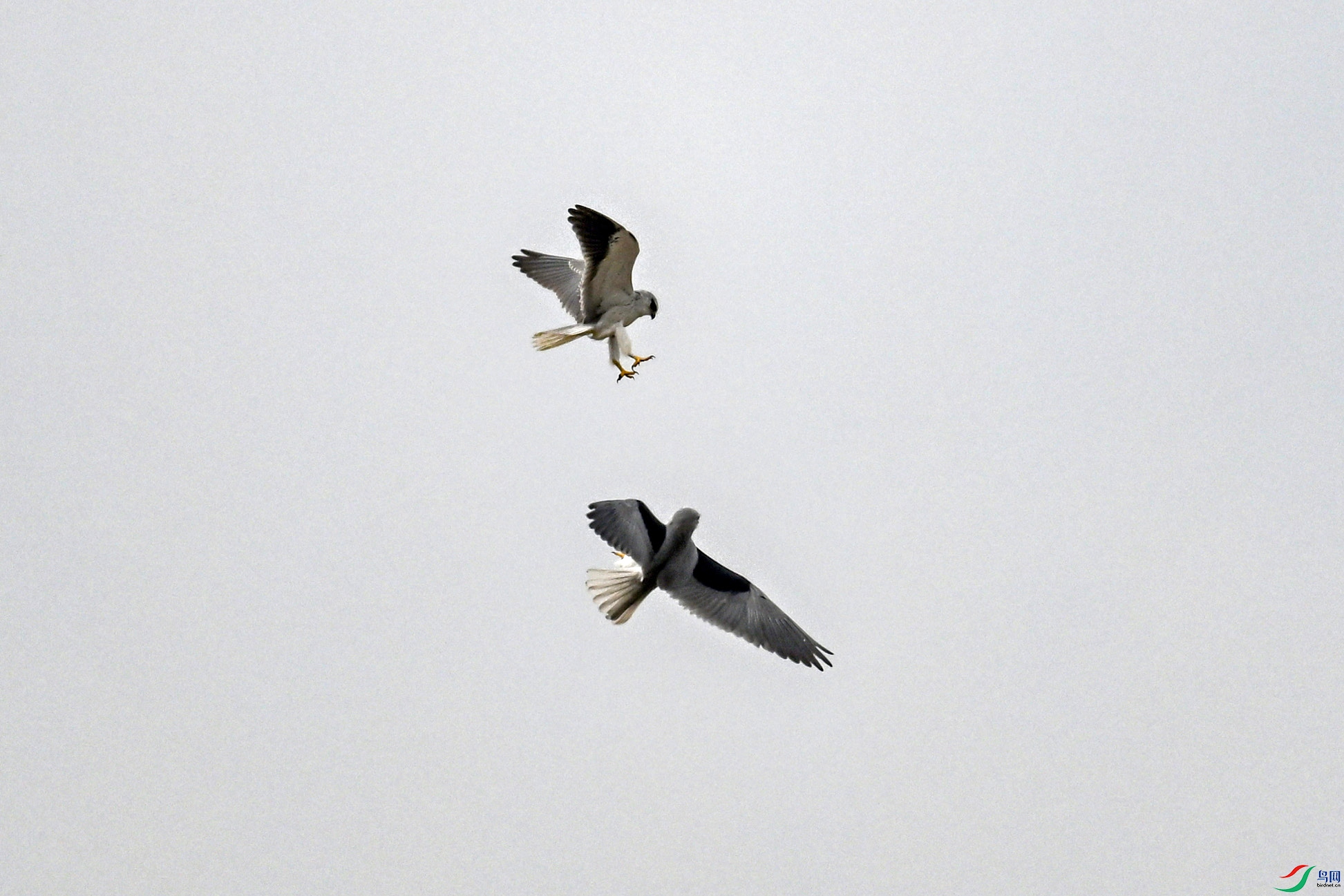DSC_8105.JPG