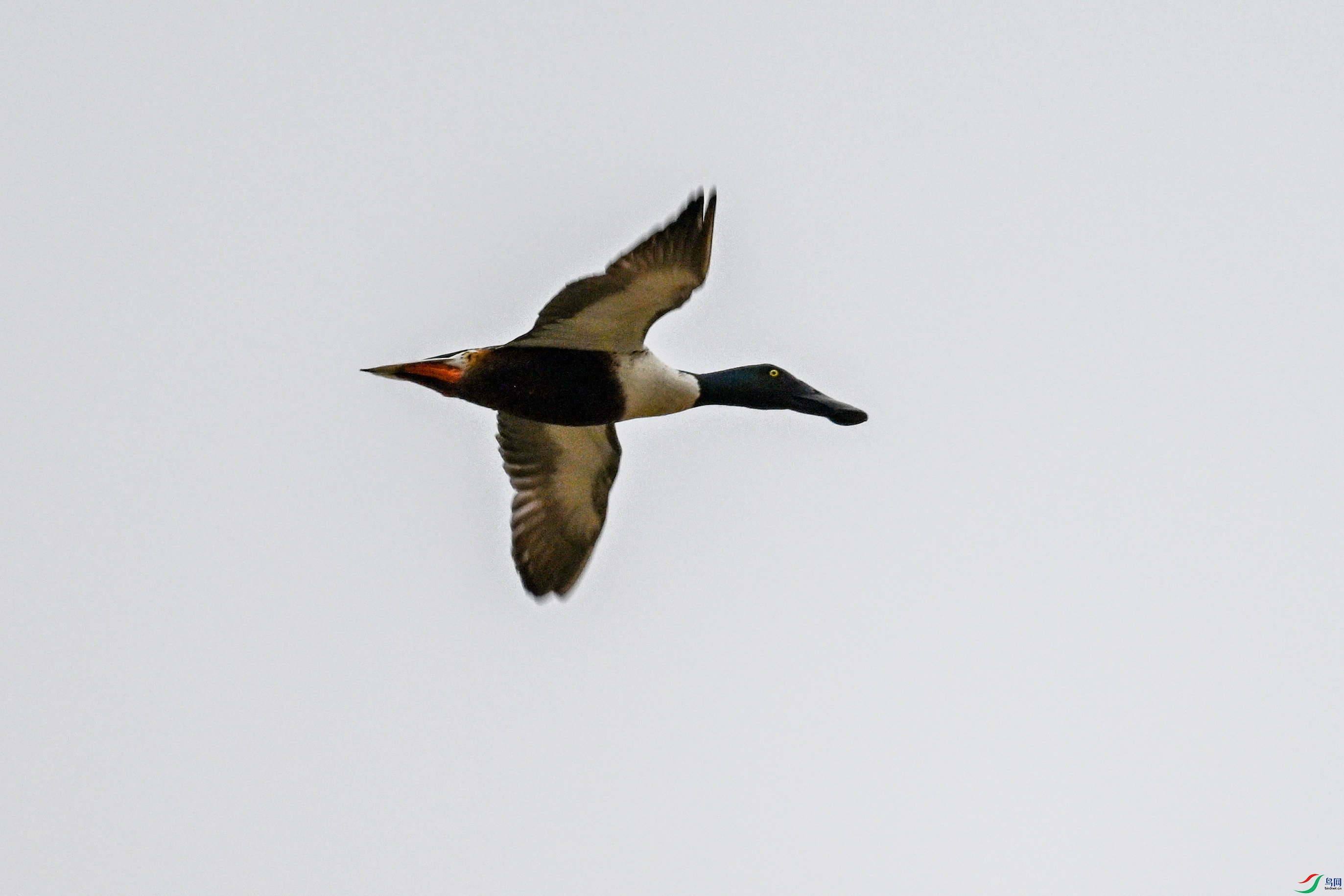 DSC_7825.JPG