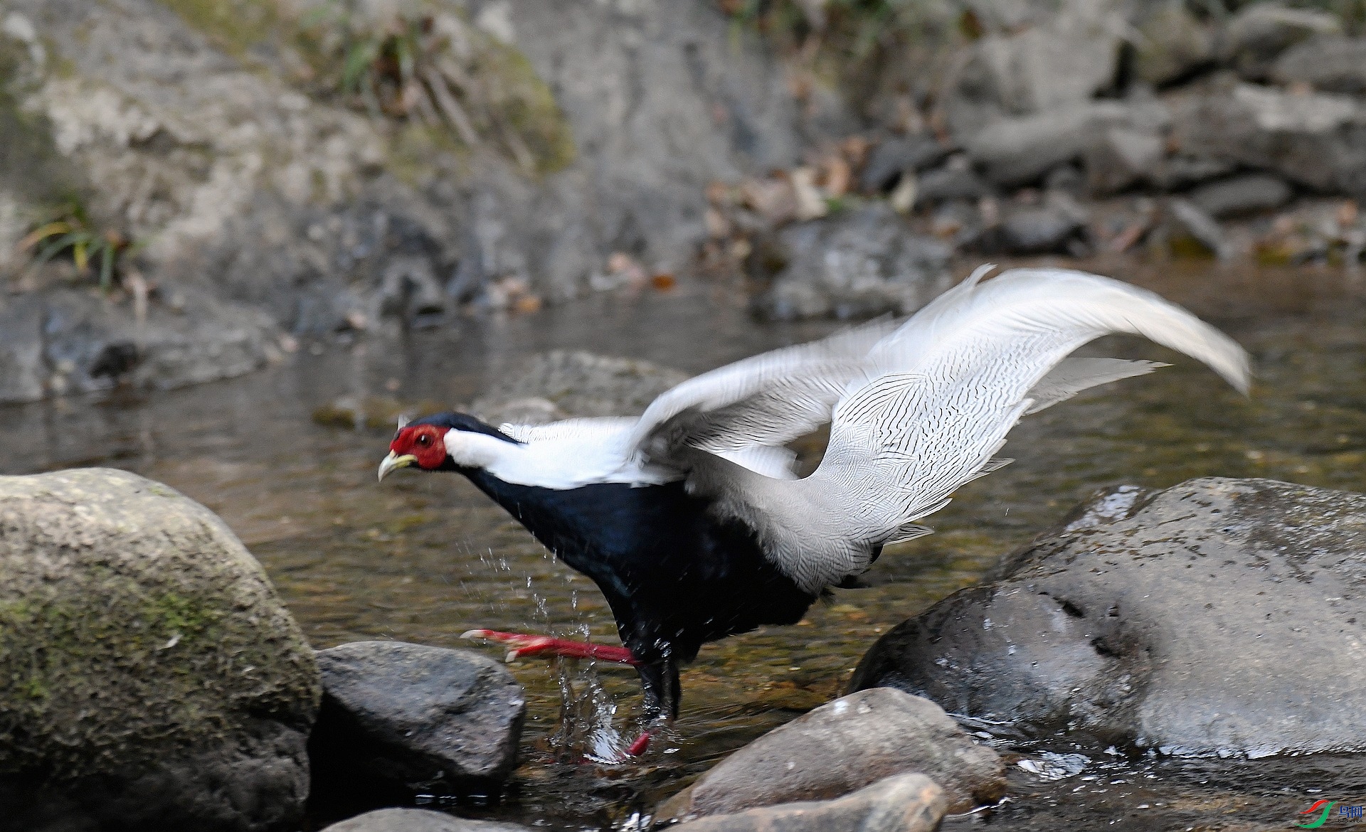 DSC_6113.jpg