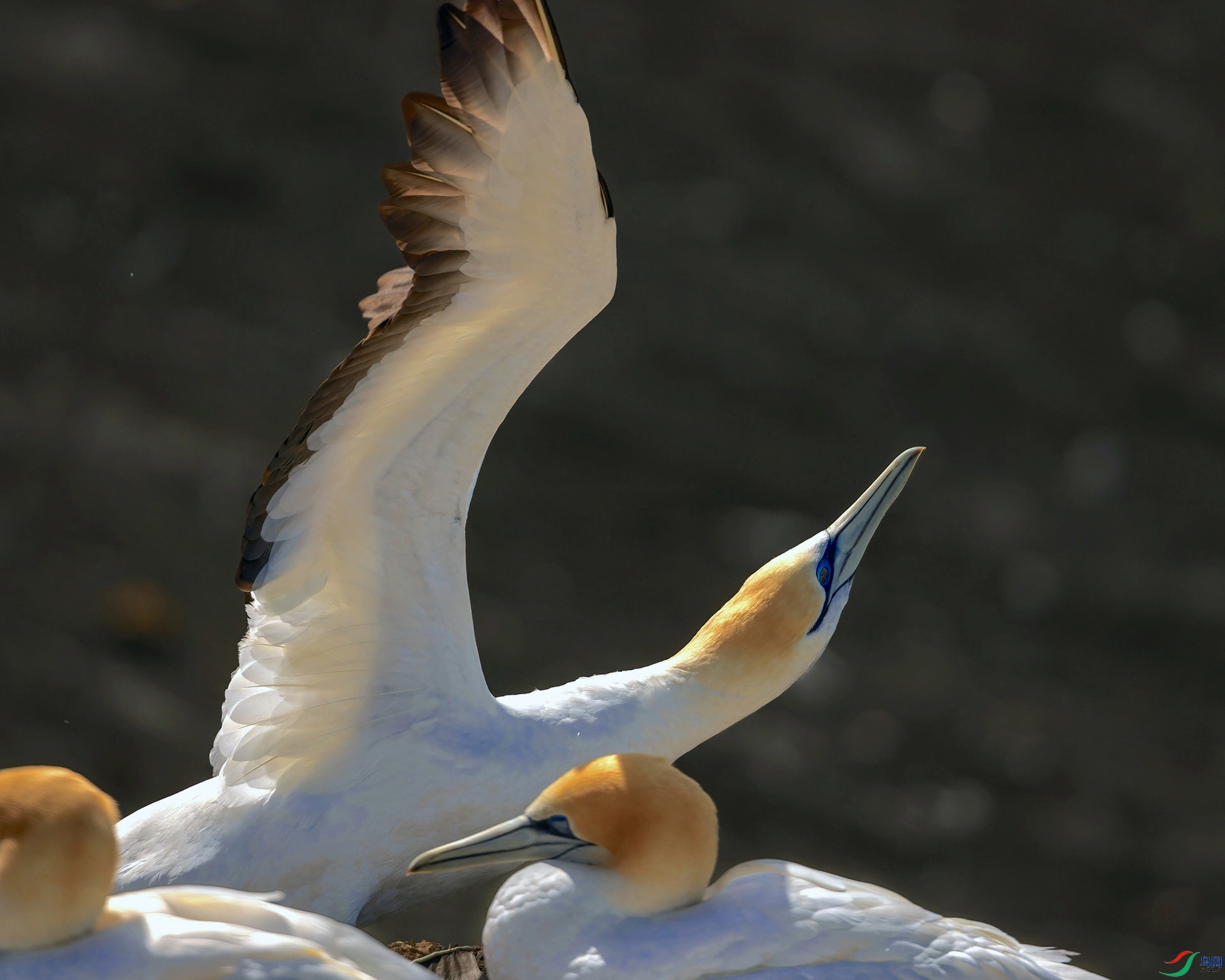 1P8A3385.jpg