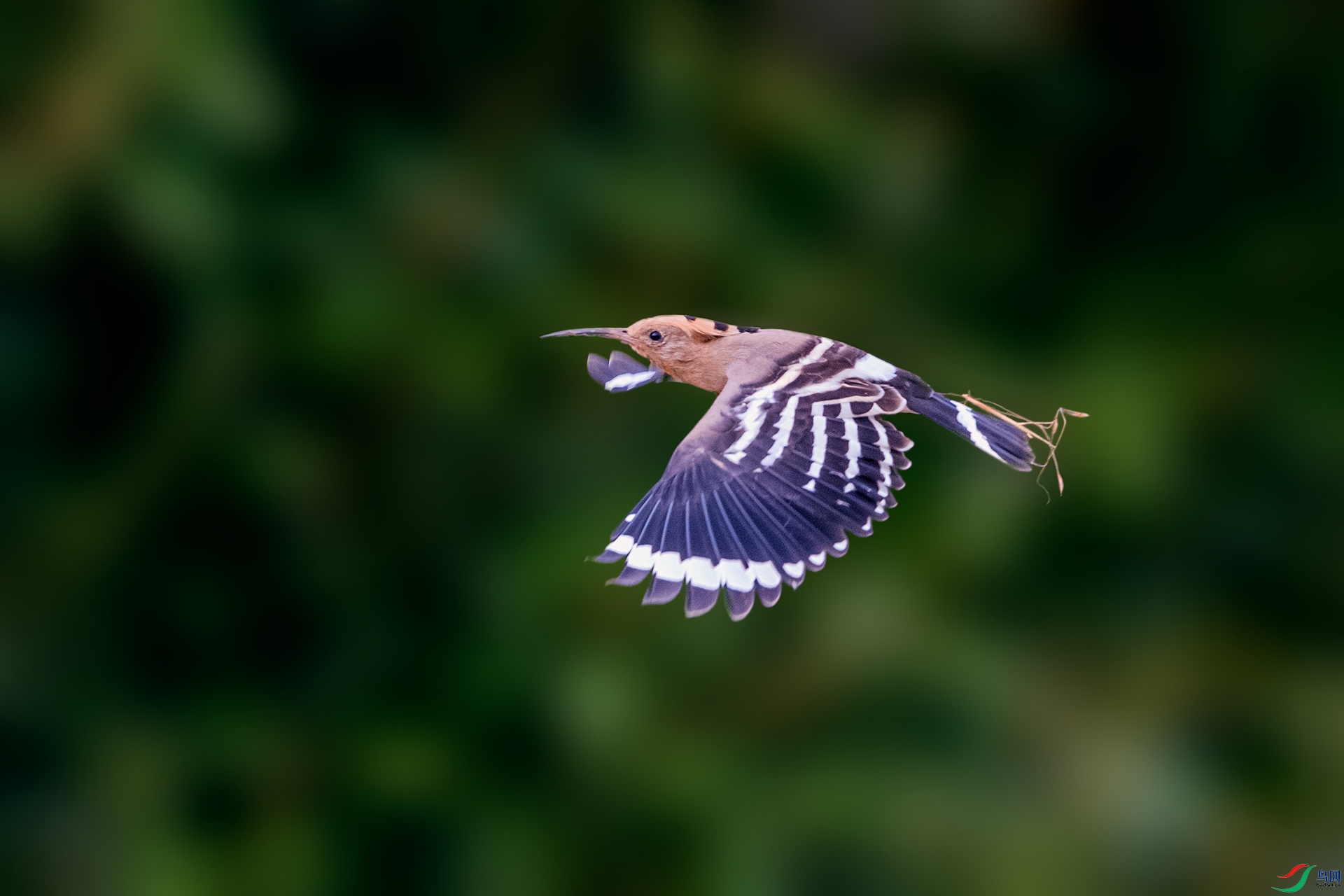 _AUU0203 ��ʤ(25.9.22).jpg