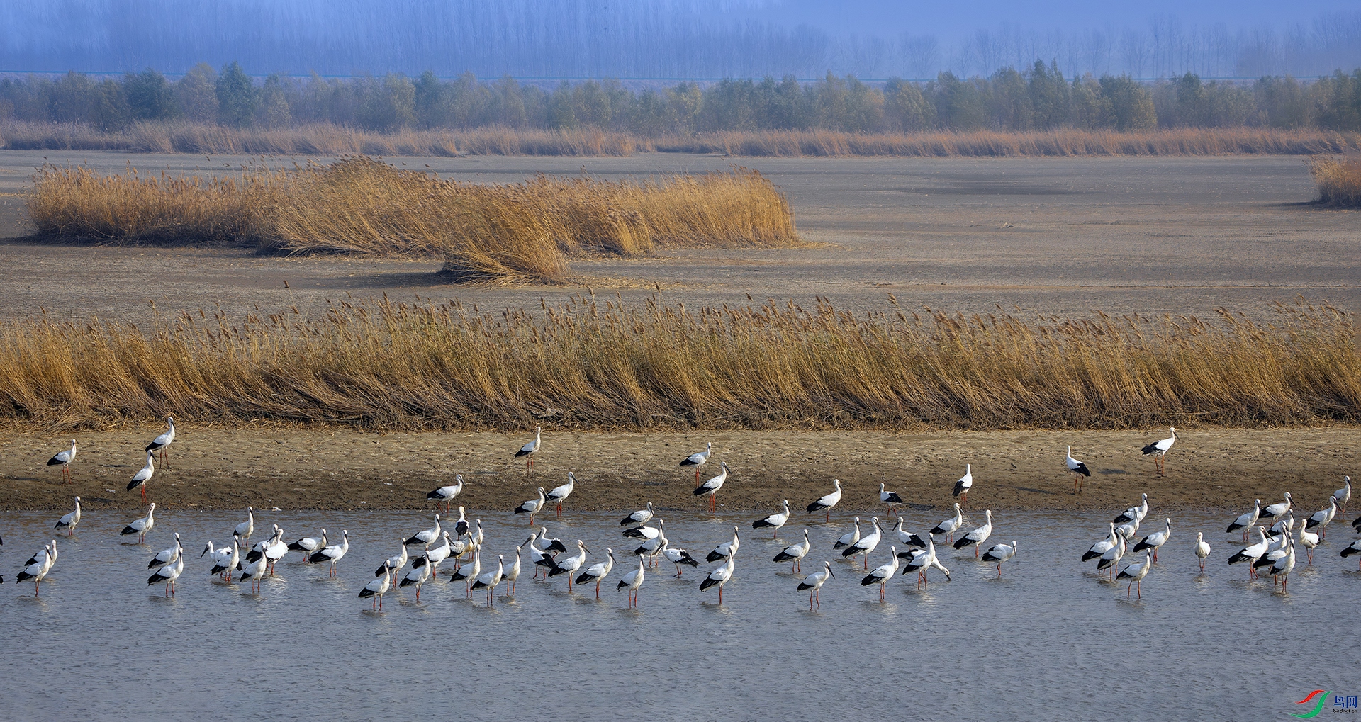 DSC02553 ����.jpg